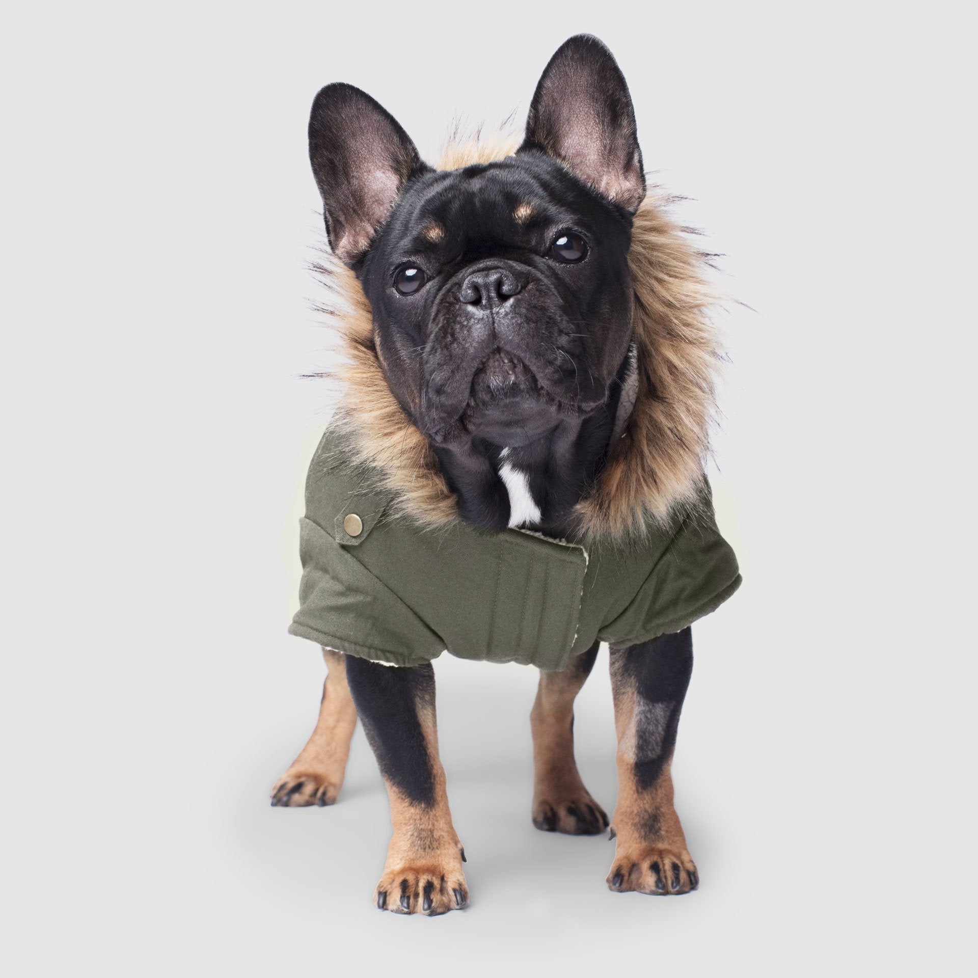 Alaskan Army Parka - SI5D