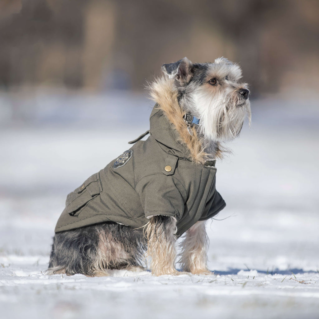 Alaskan Army Parka - SI5D