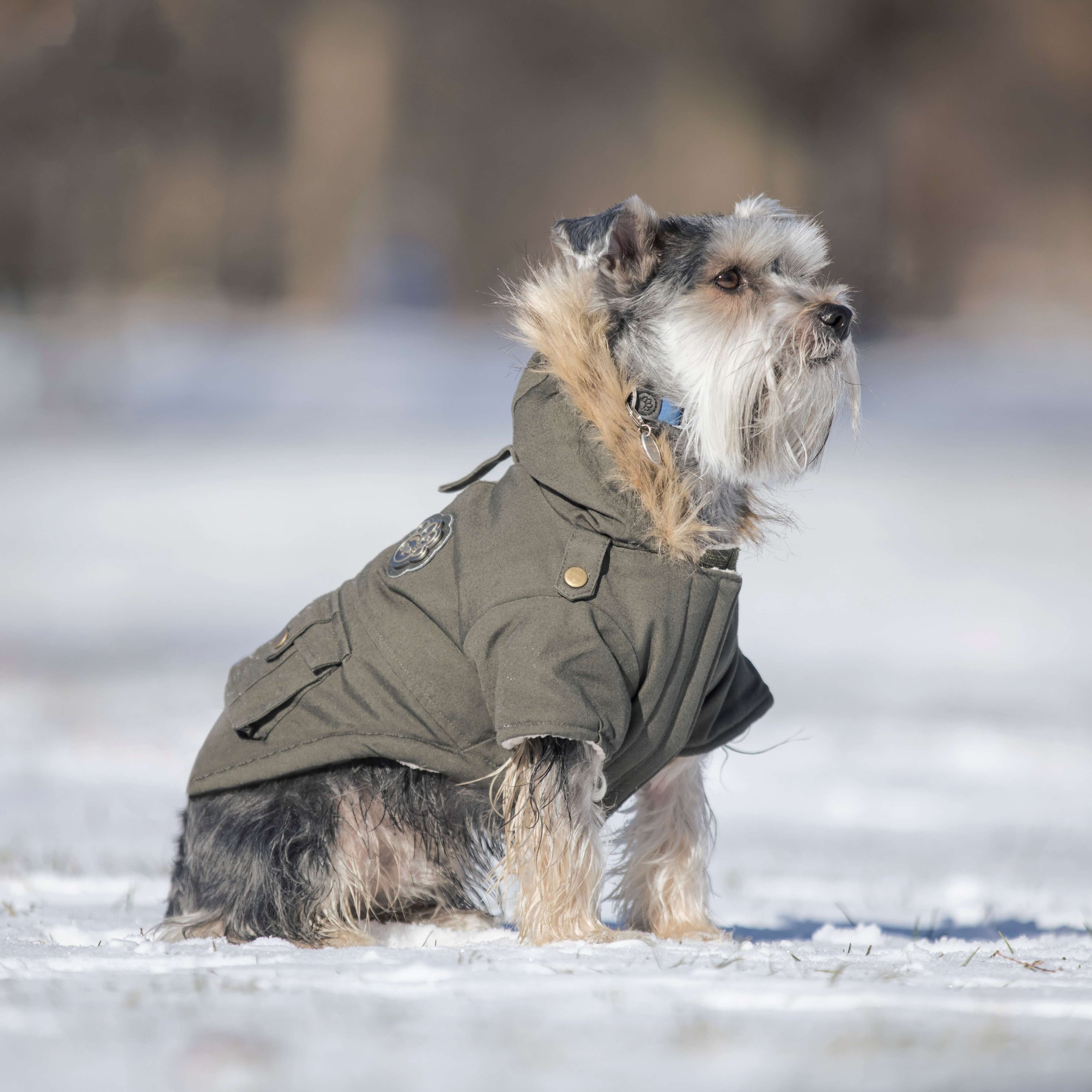 Alaskan Army Parka - SI5D