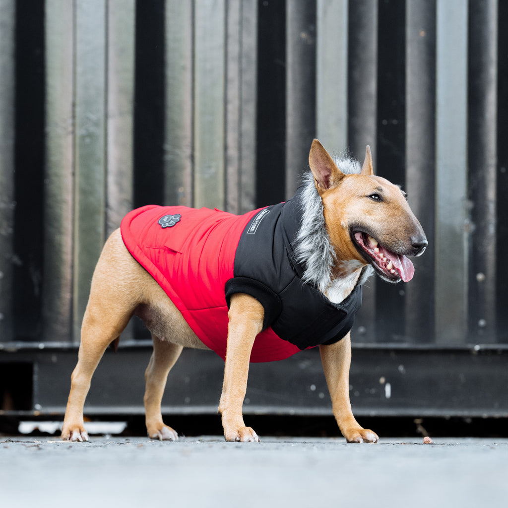 True North Parka - HX03