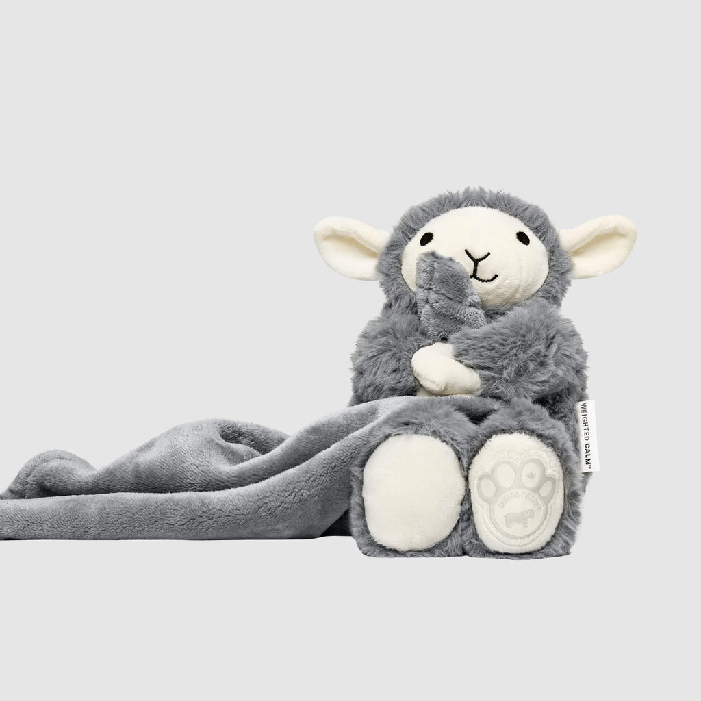 Weighted Calming Toy - 6O5A