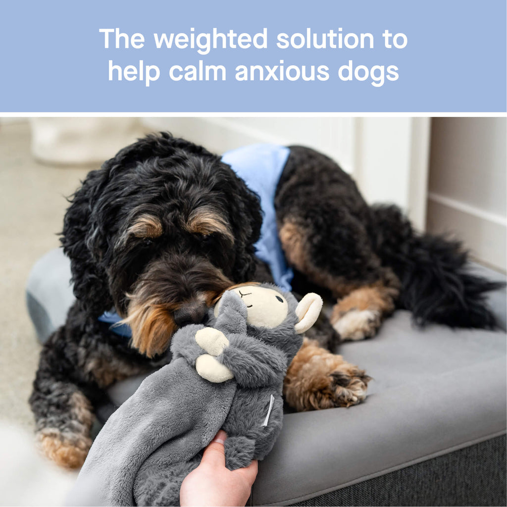 Weighted Calming Toy - 6O5A
