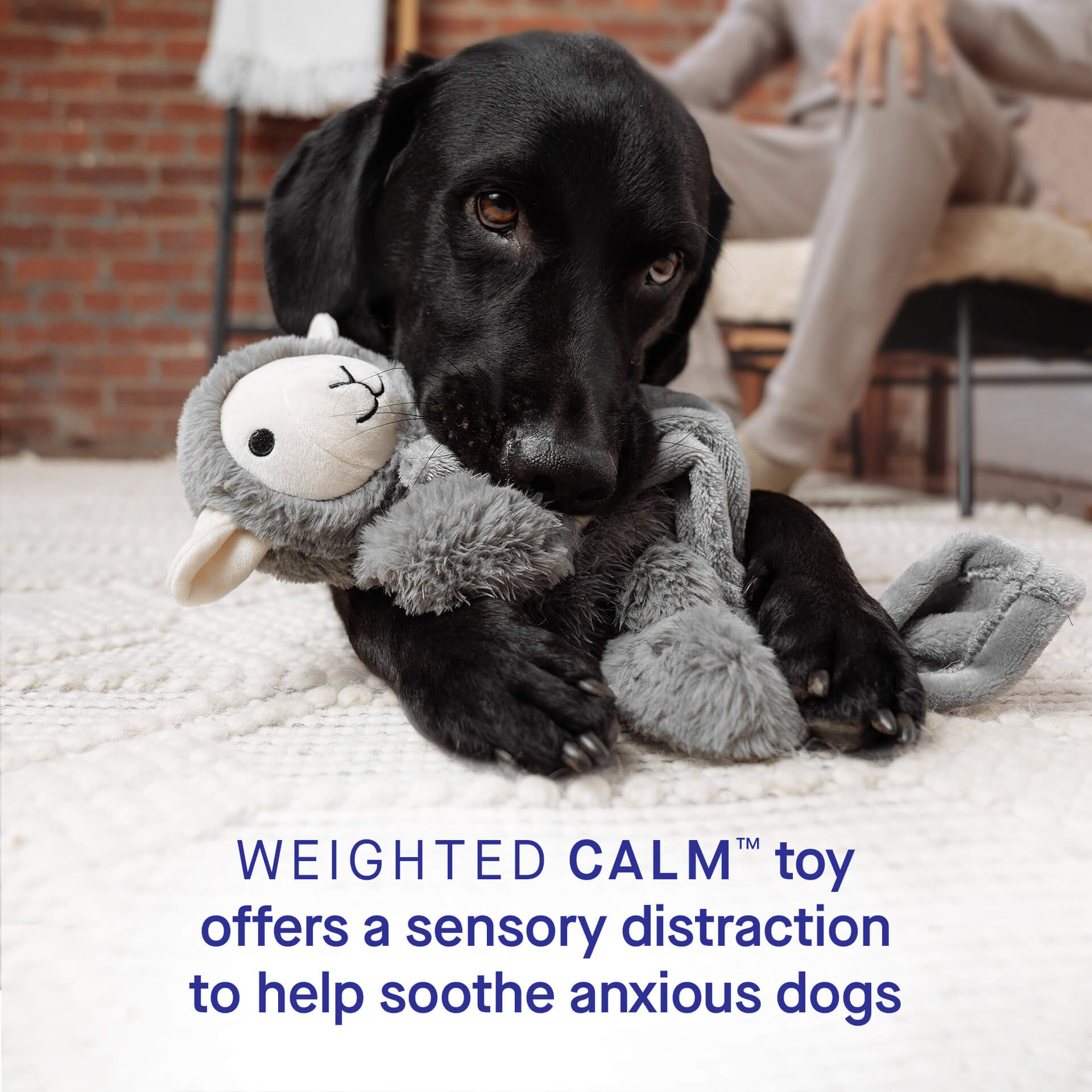 Weighted Calming Toy - 6O5A