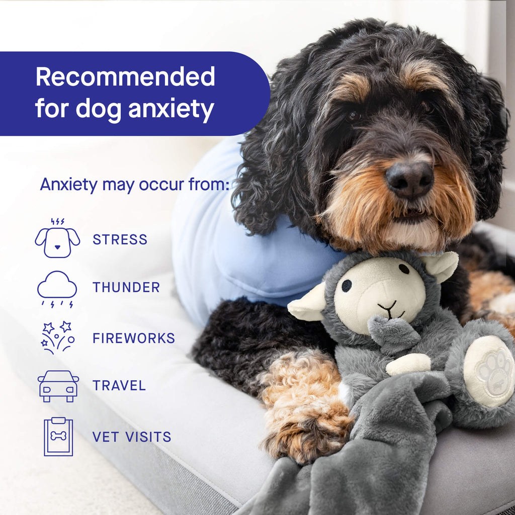 Weighted Calming Toy - 6O5A