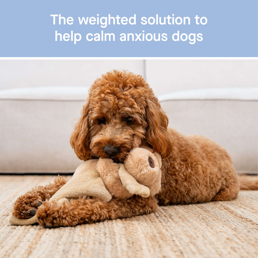 Weighted Calming Toy - 6O5A