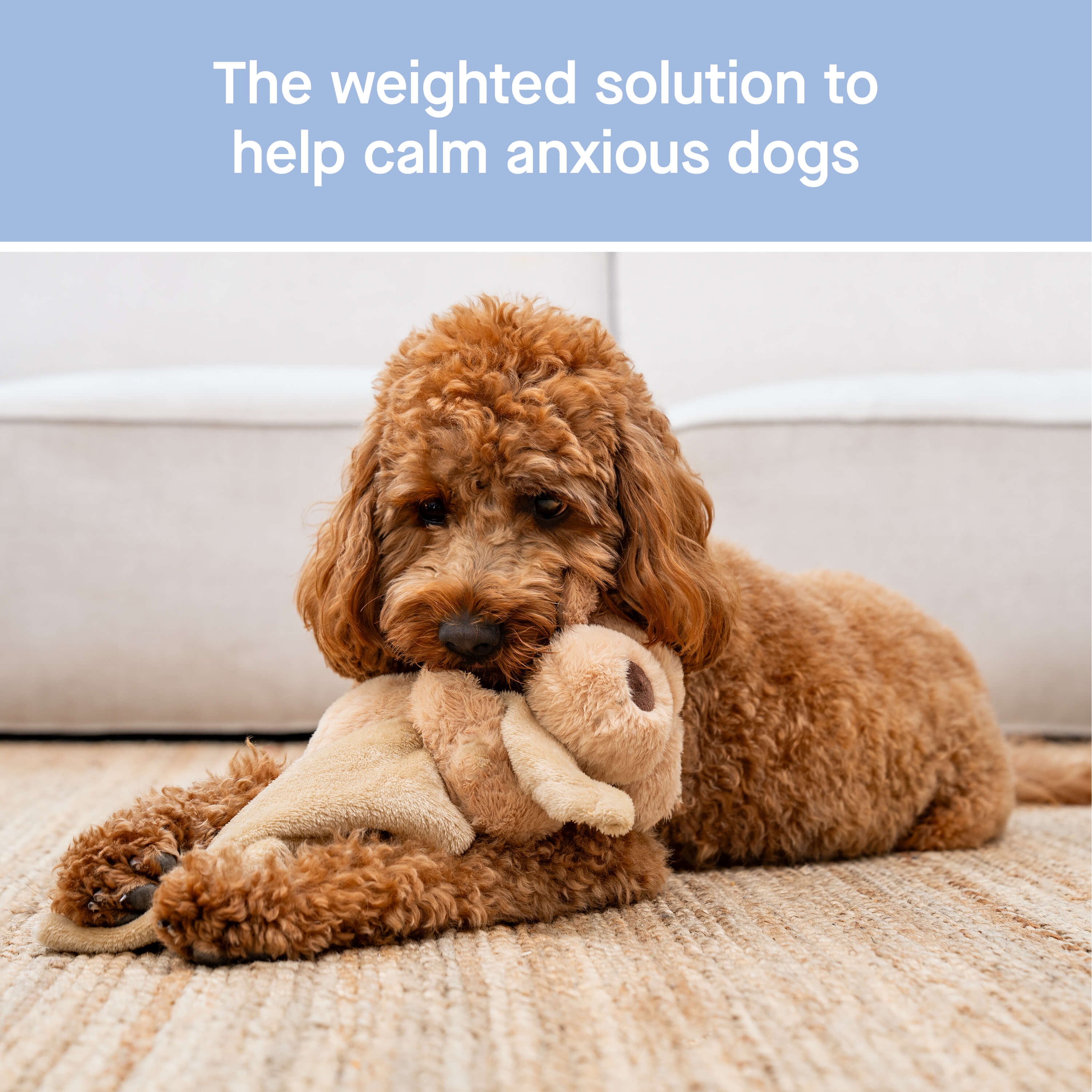 Weighted Calming Toy - 6O5A