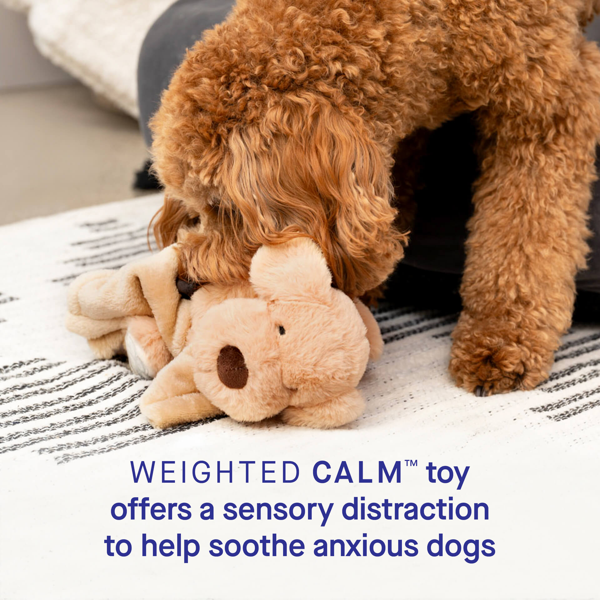 Weighted Calming Toy - 6O5A