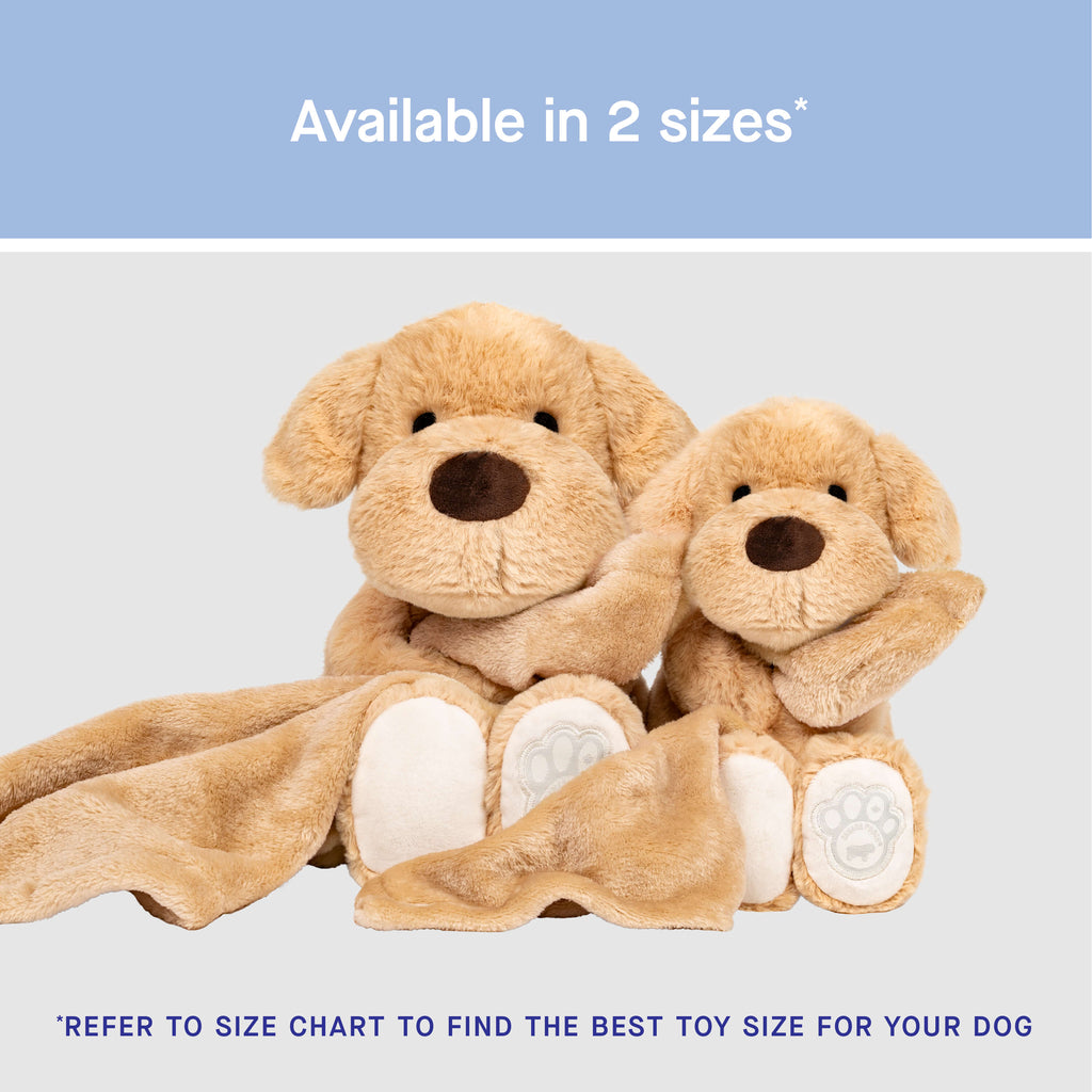 Weighted Calming Toy - 6O5A