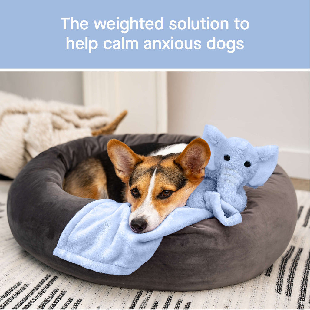 Weighted Calming Toy - 6O5A