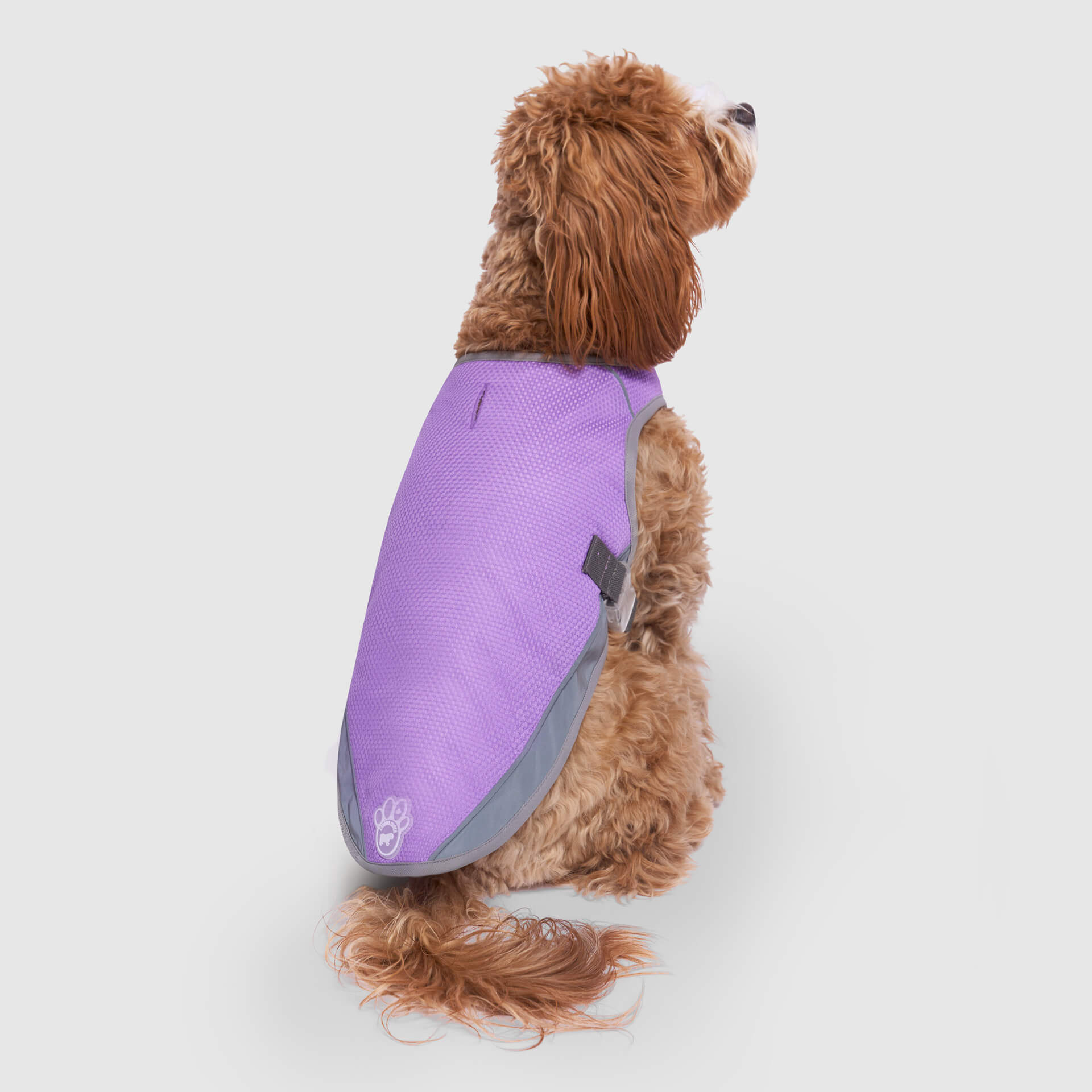 Chill Seeker Cooling Vest Wet Reveal - DP0J