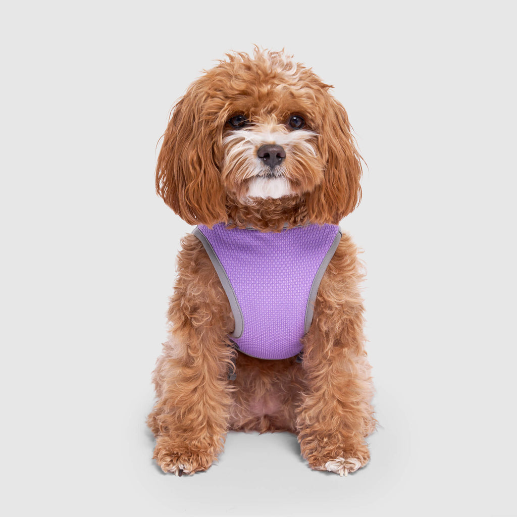 Chill Seeker Cooling Vest Wet Reveal - DP0J