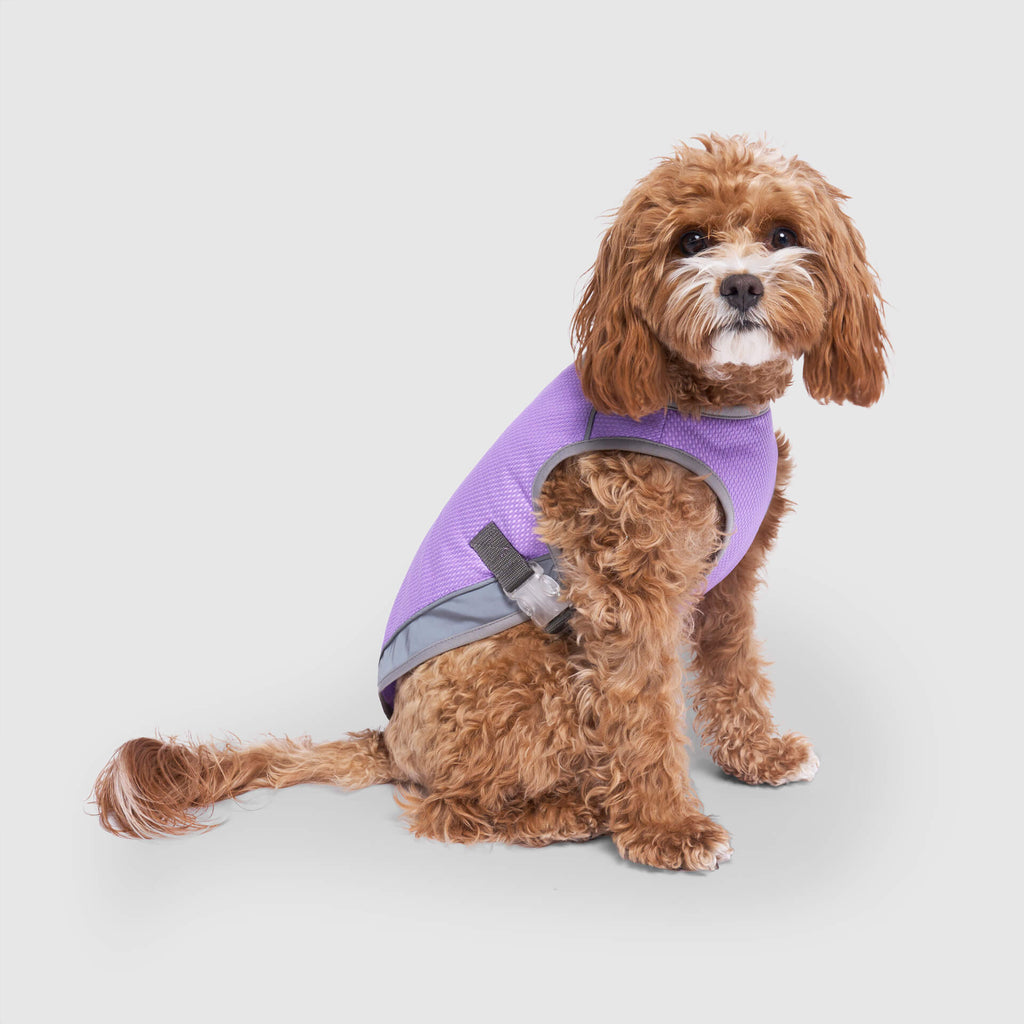 Chill Seeker Cooling Vest Wet Reveal - DP0J