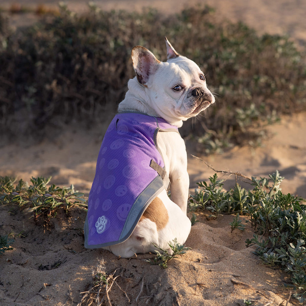 Chill Seeker Cooling Vest Wet Reveal - DP0J