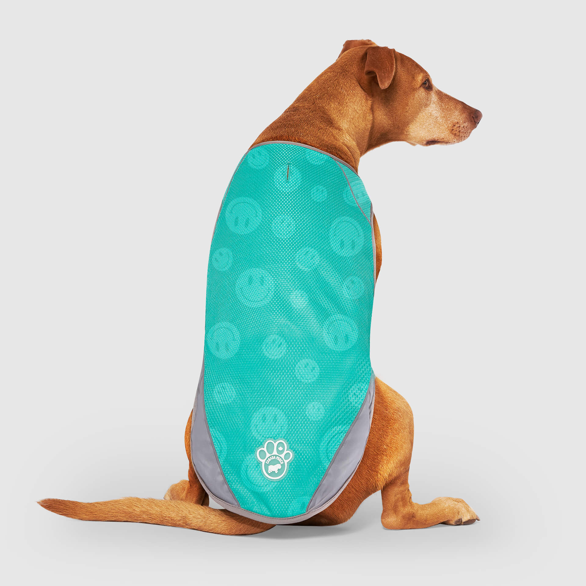 Chill Seeker Cooling Vest Wet Reveal - DP0J