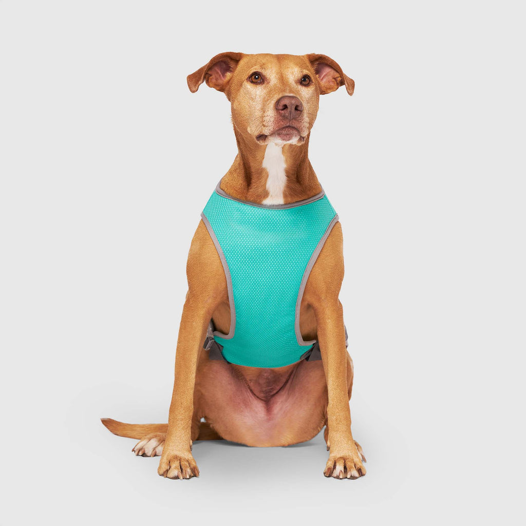 Chill Seeker Cooling Vest Wet Reveal - DP0J