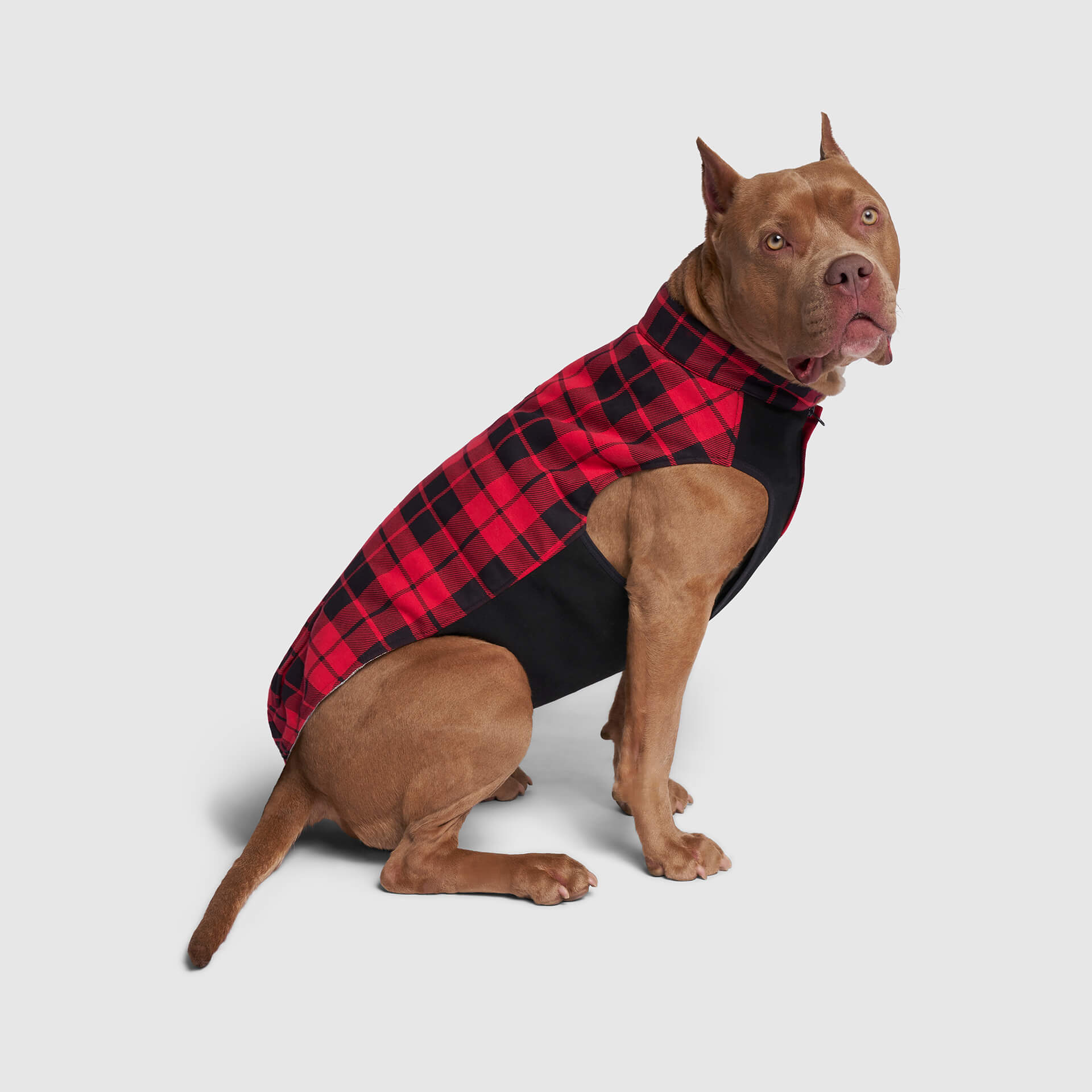 Thermal Tech Fleece - G596