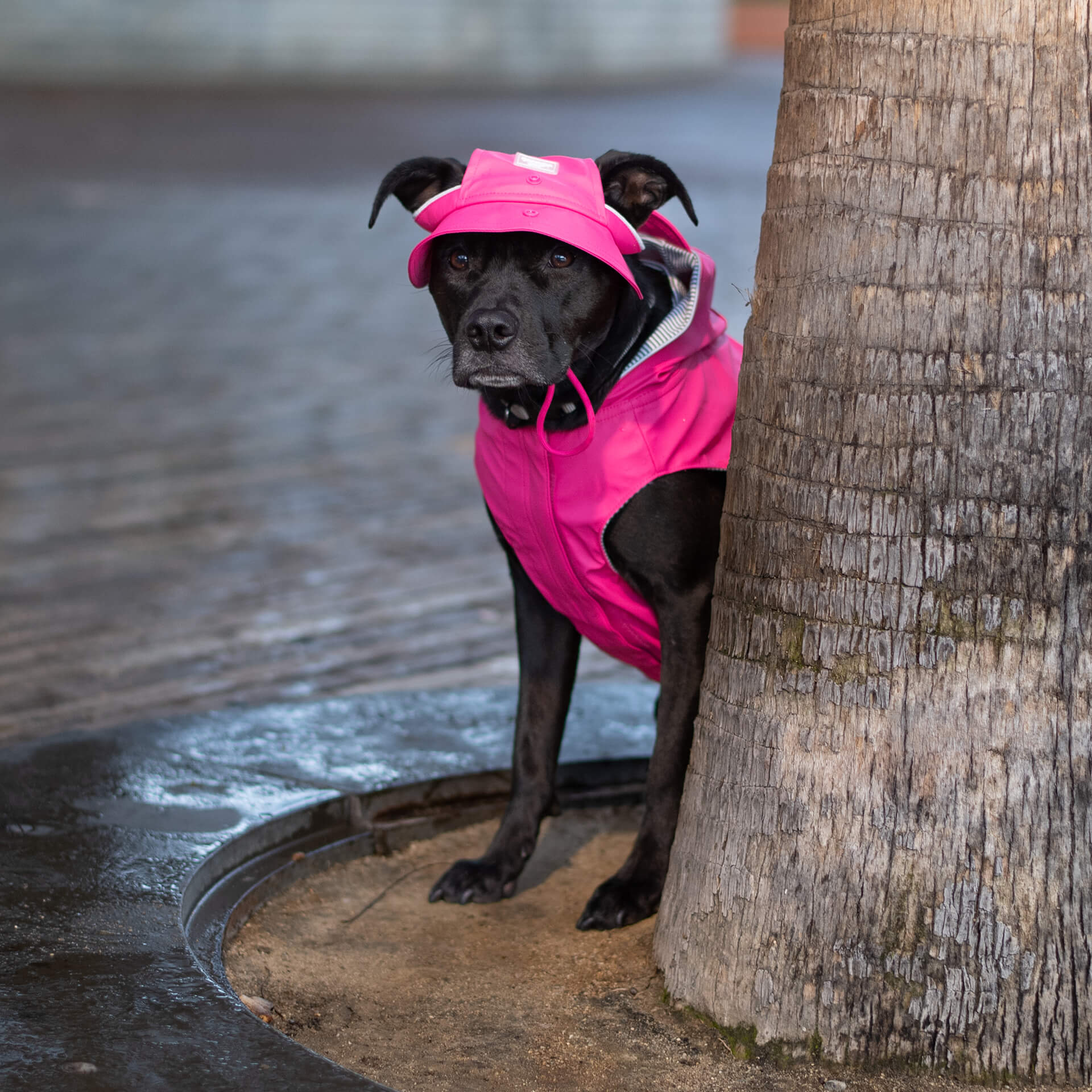 Torrential Tracker Rain Hat - 0830