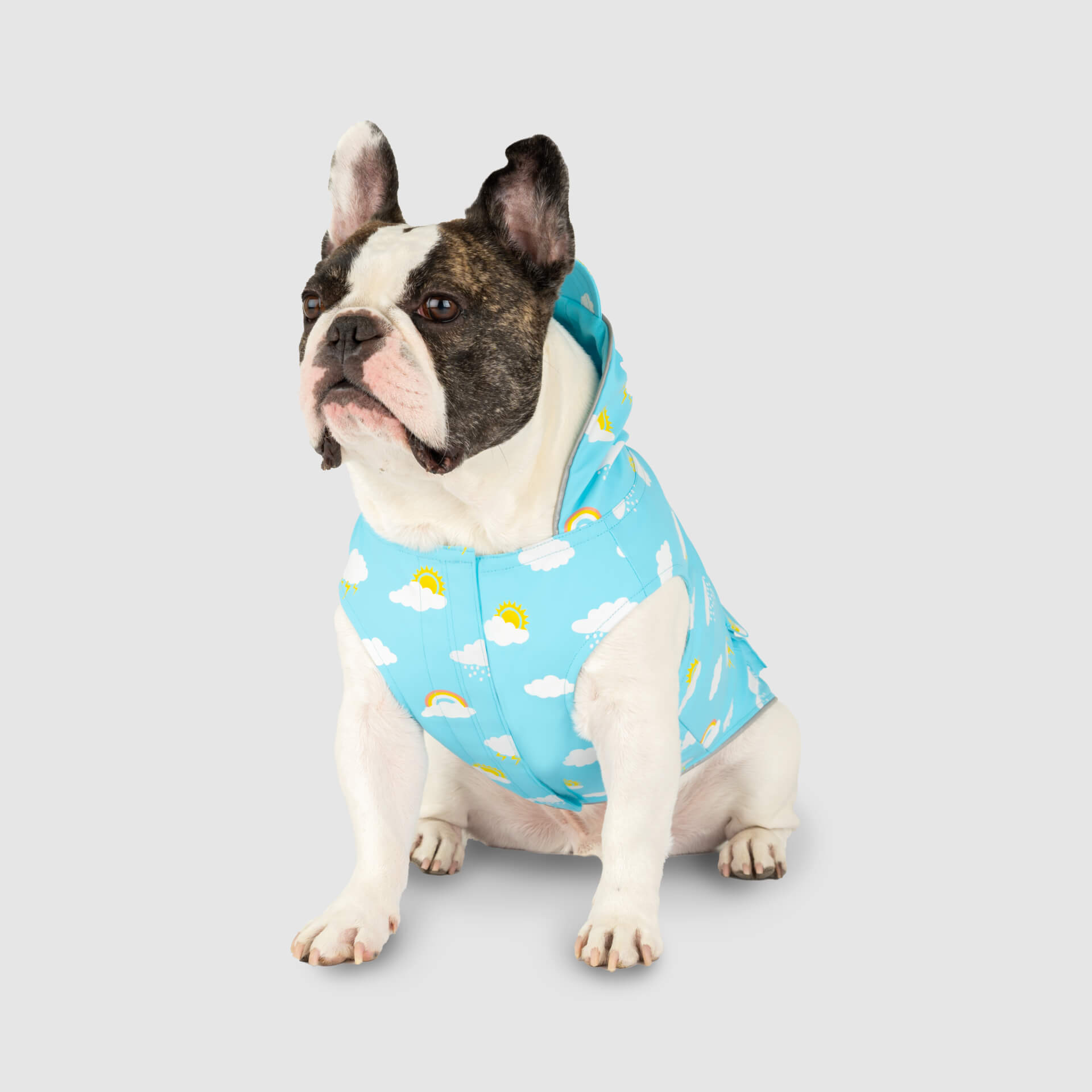 Wet Reveal Torrential Tracker - GGFX