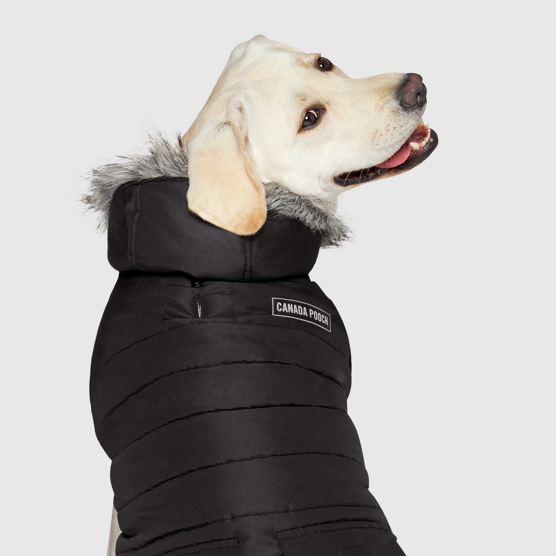 True North Parka - HX03