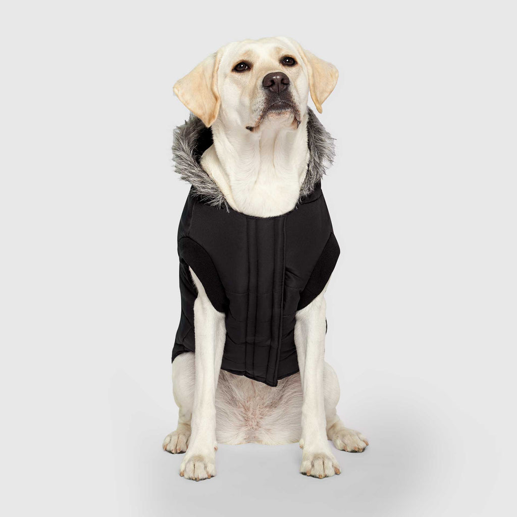 True North Parka - HX03