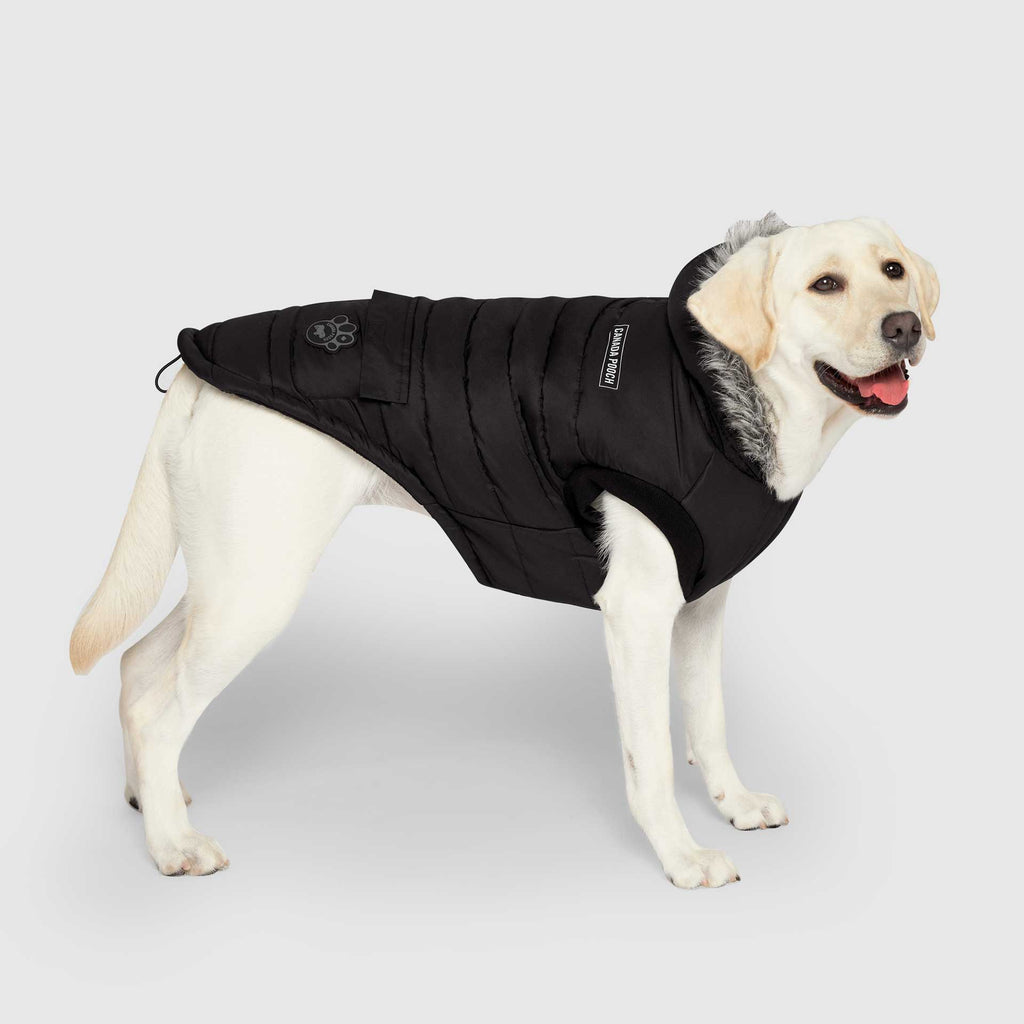 True North Parka - HX03
