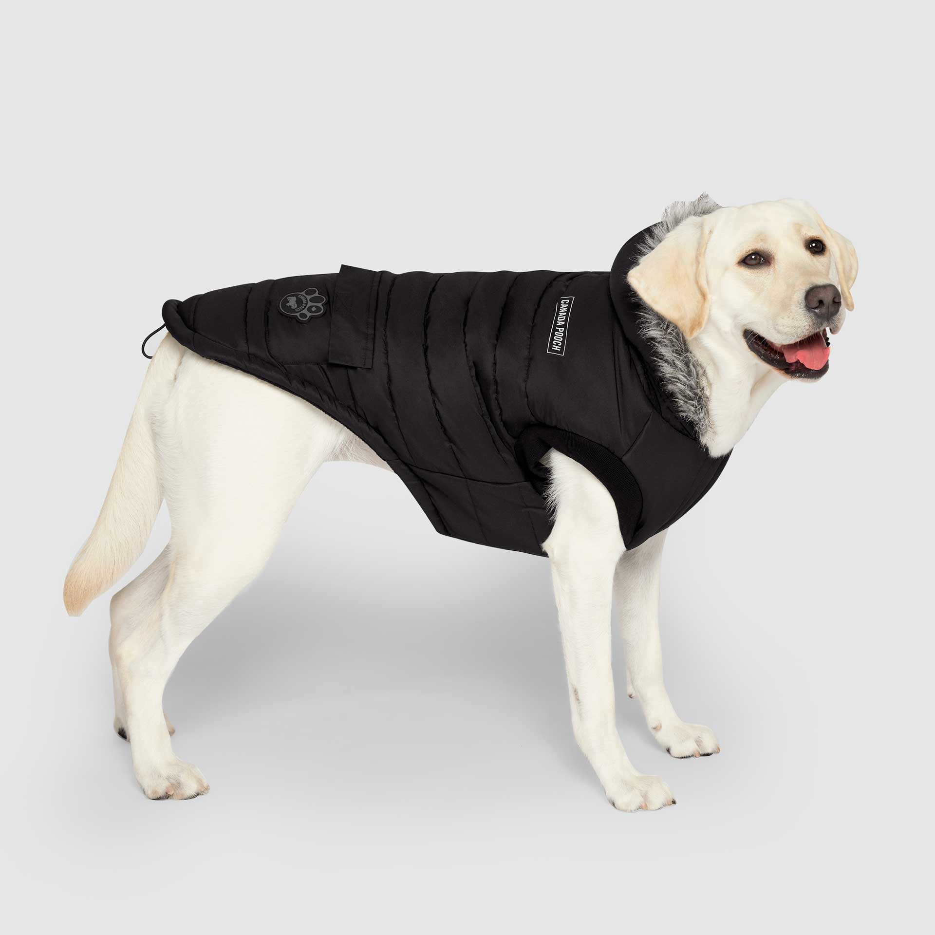 True North Parka - HX03
