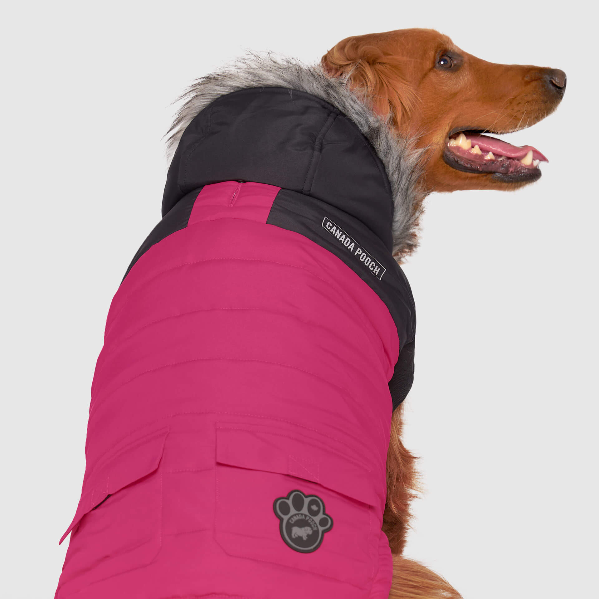 True North Parka - HX03
