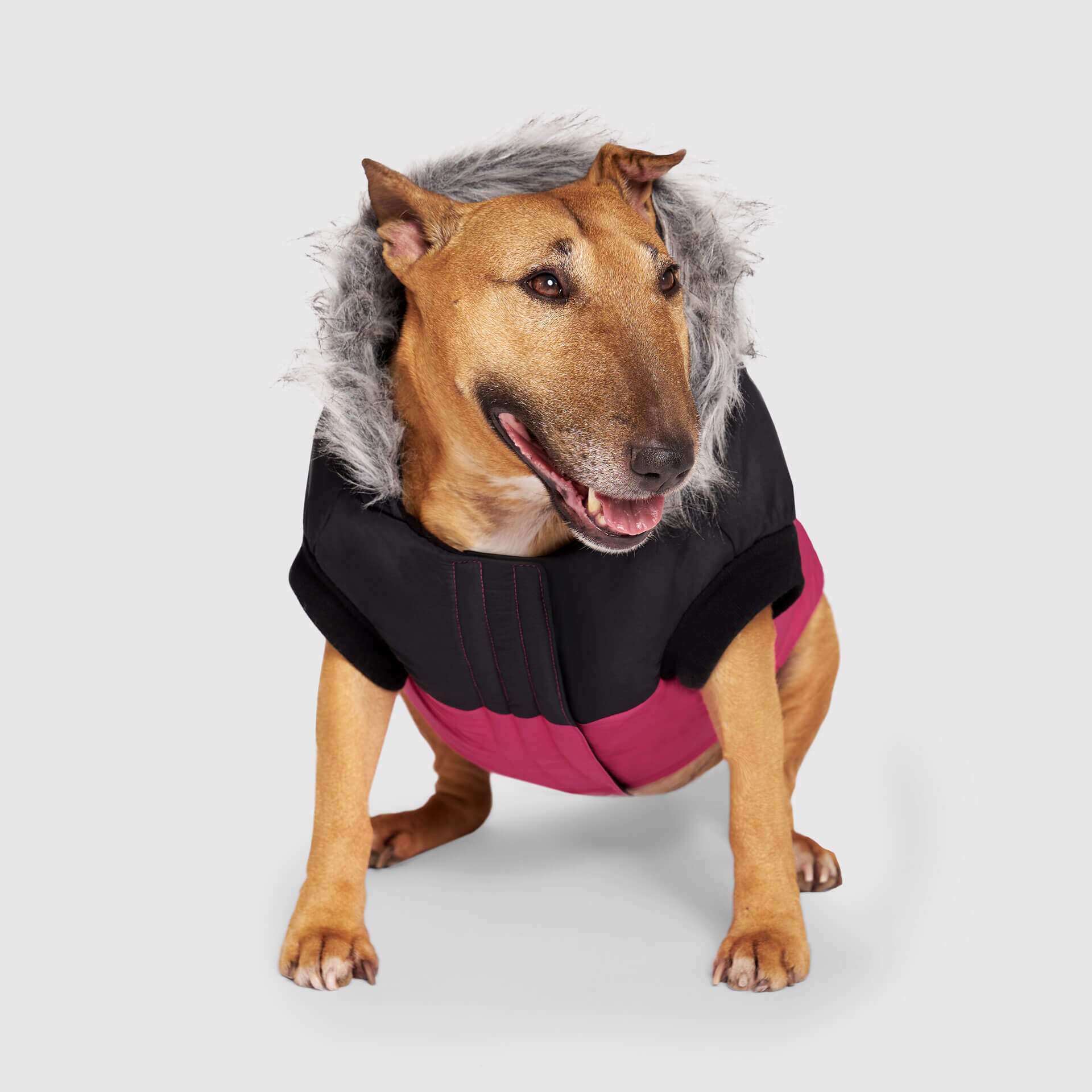 True North Parka - HX03