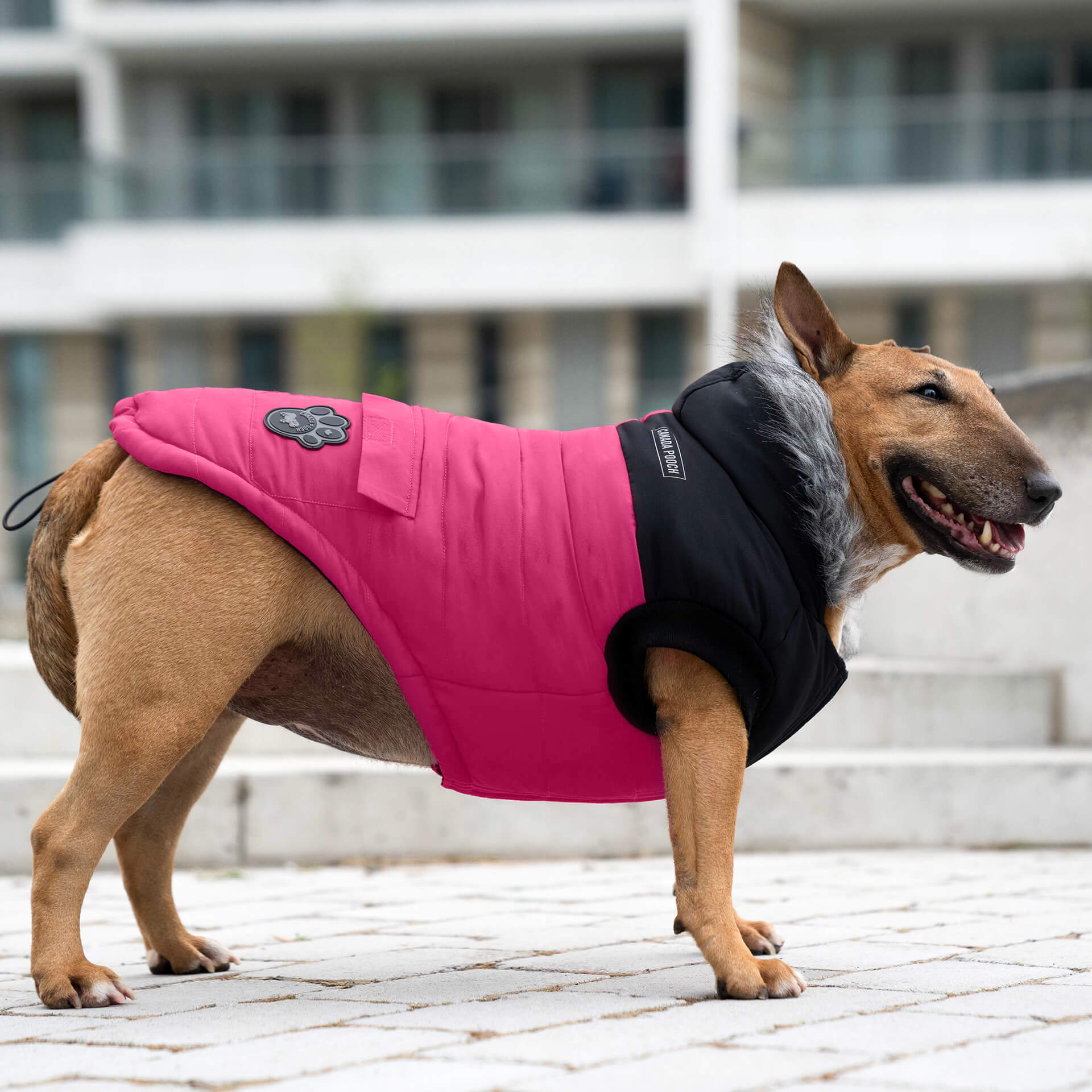 True North Parka - HX03