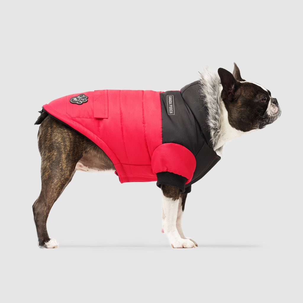 True North Parka - HX03