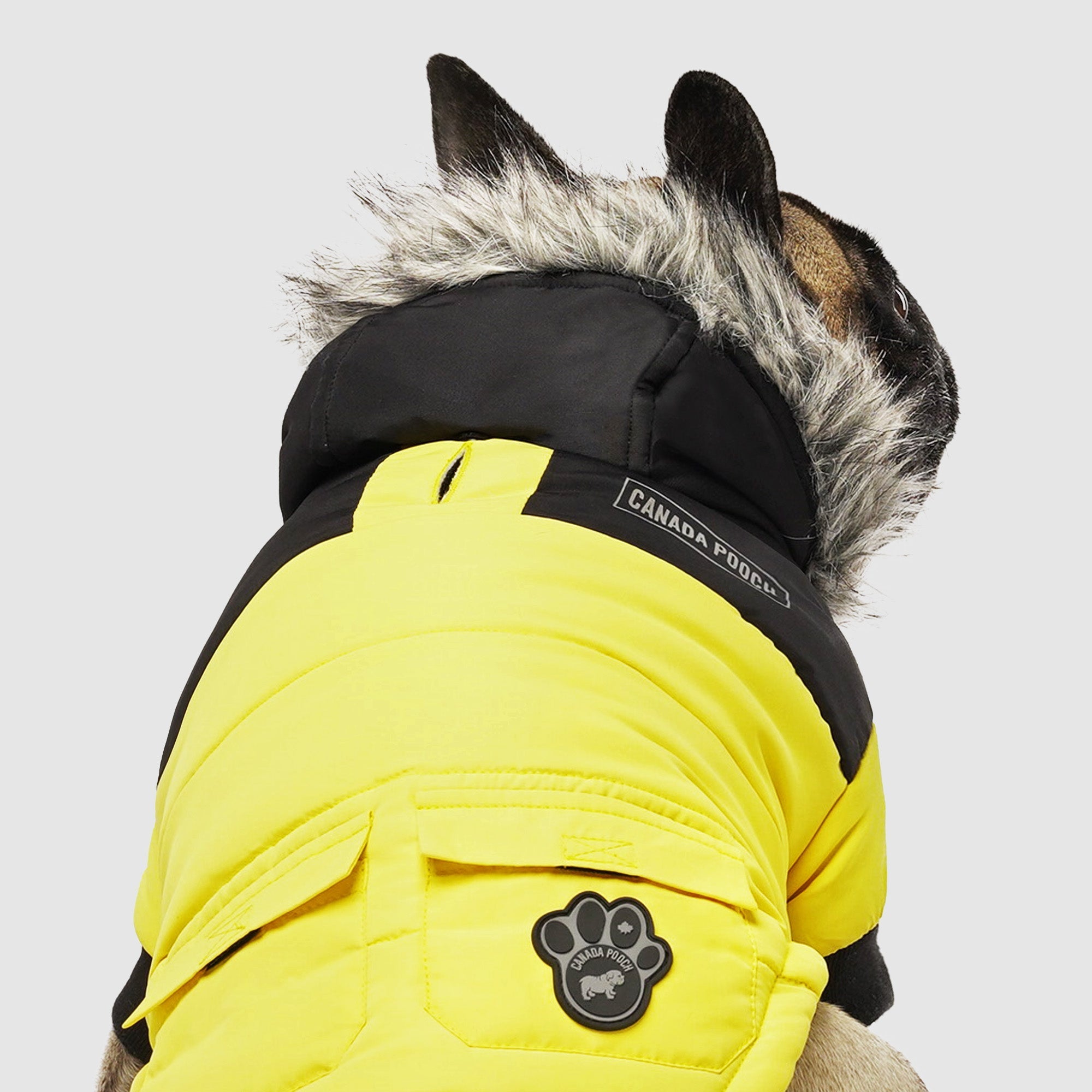 True North Parka - HX03