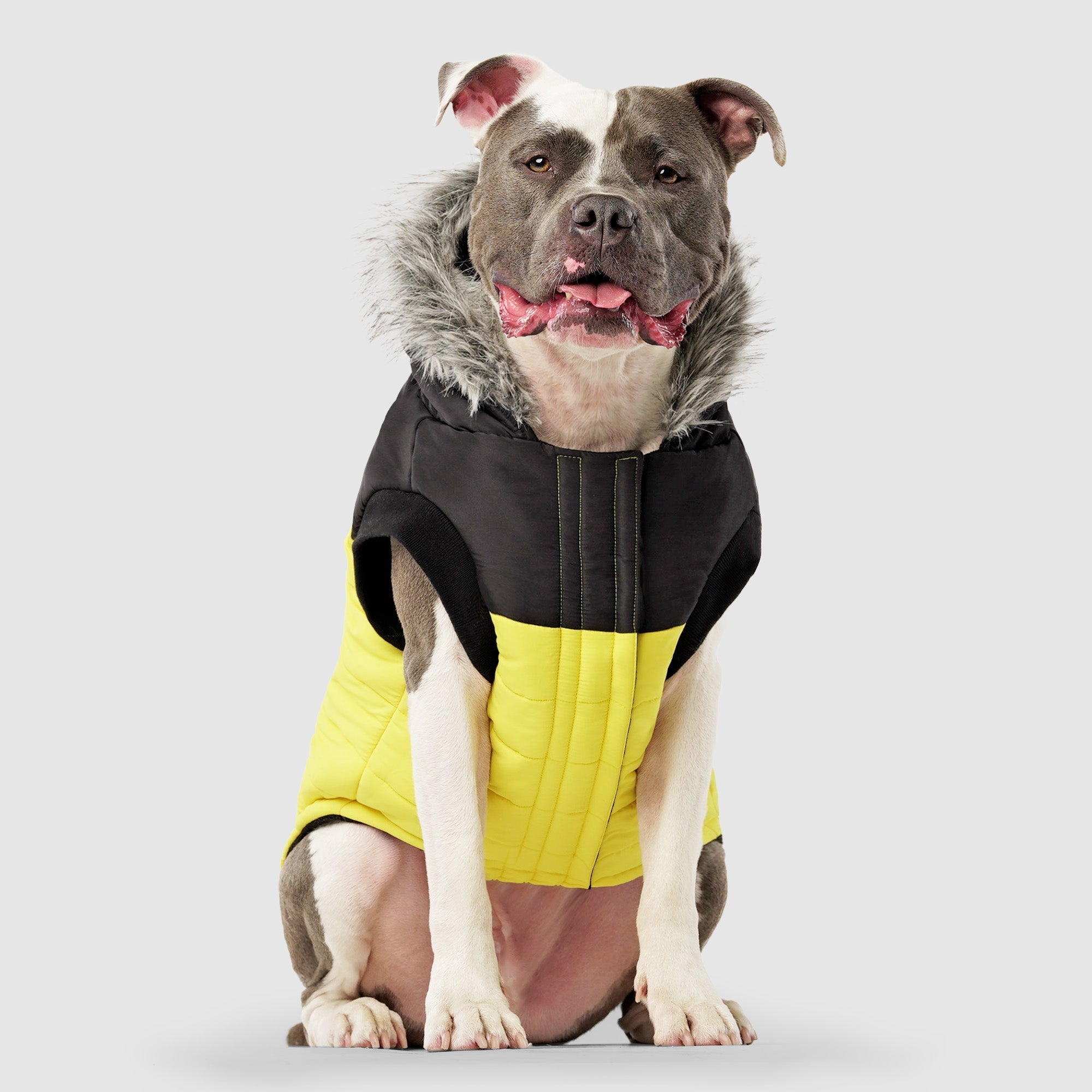 True North Parka - HX03