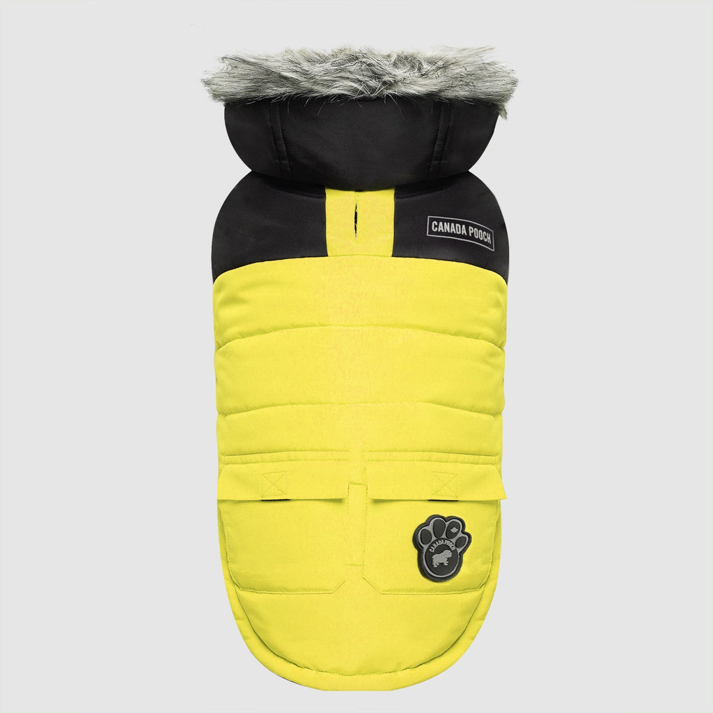 True North Parka - HX03