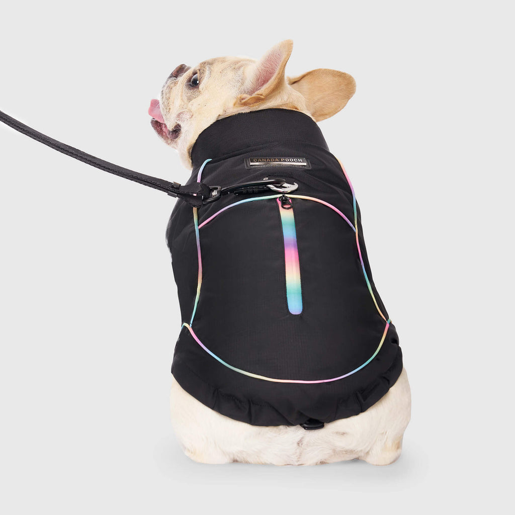 Utility Parka - OP0K
