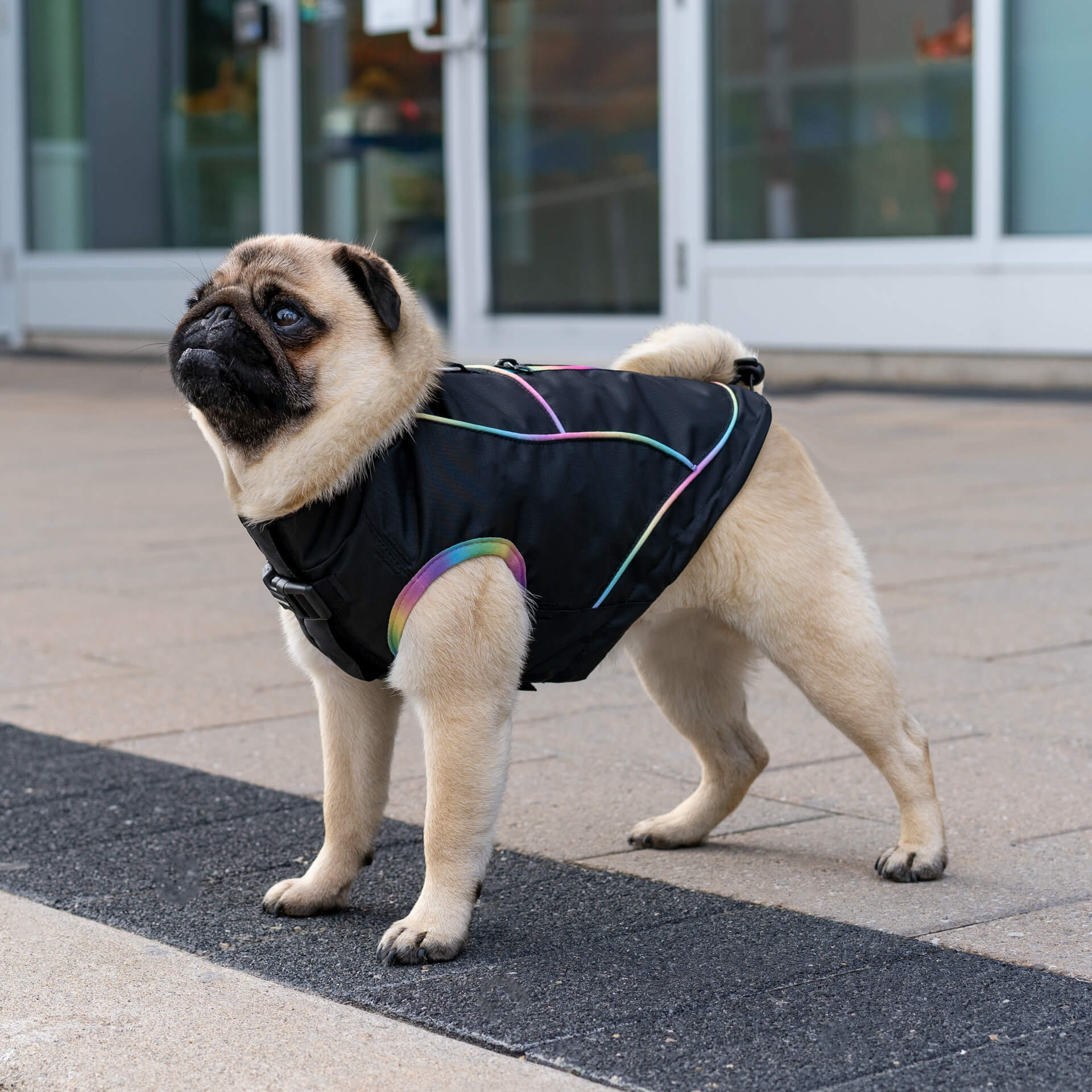 Utility Parka - OP0K