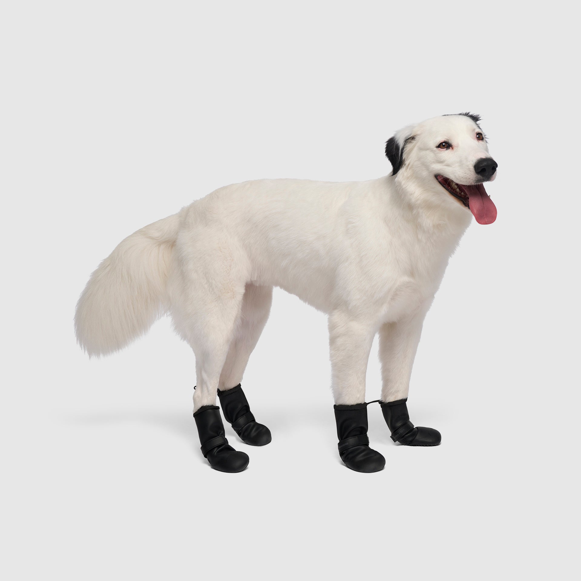 Waterproof Rain Boots - 2LGR