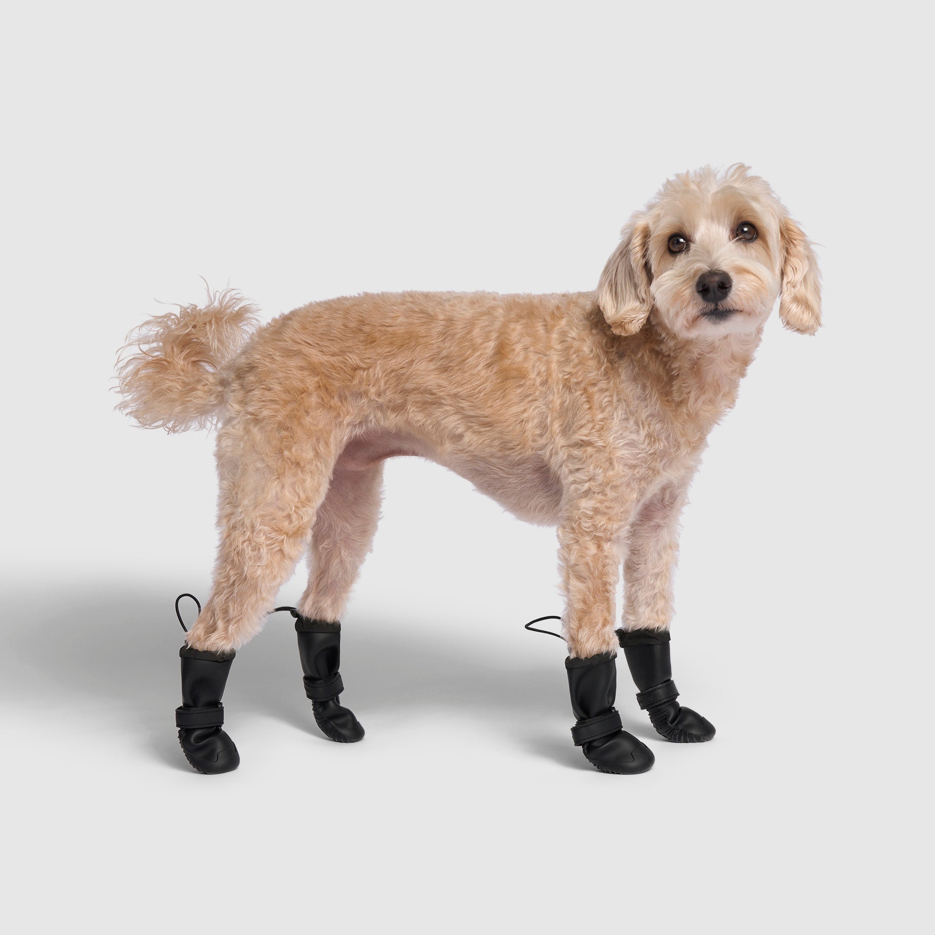 Waterproof Rain Boots - 2LGR