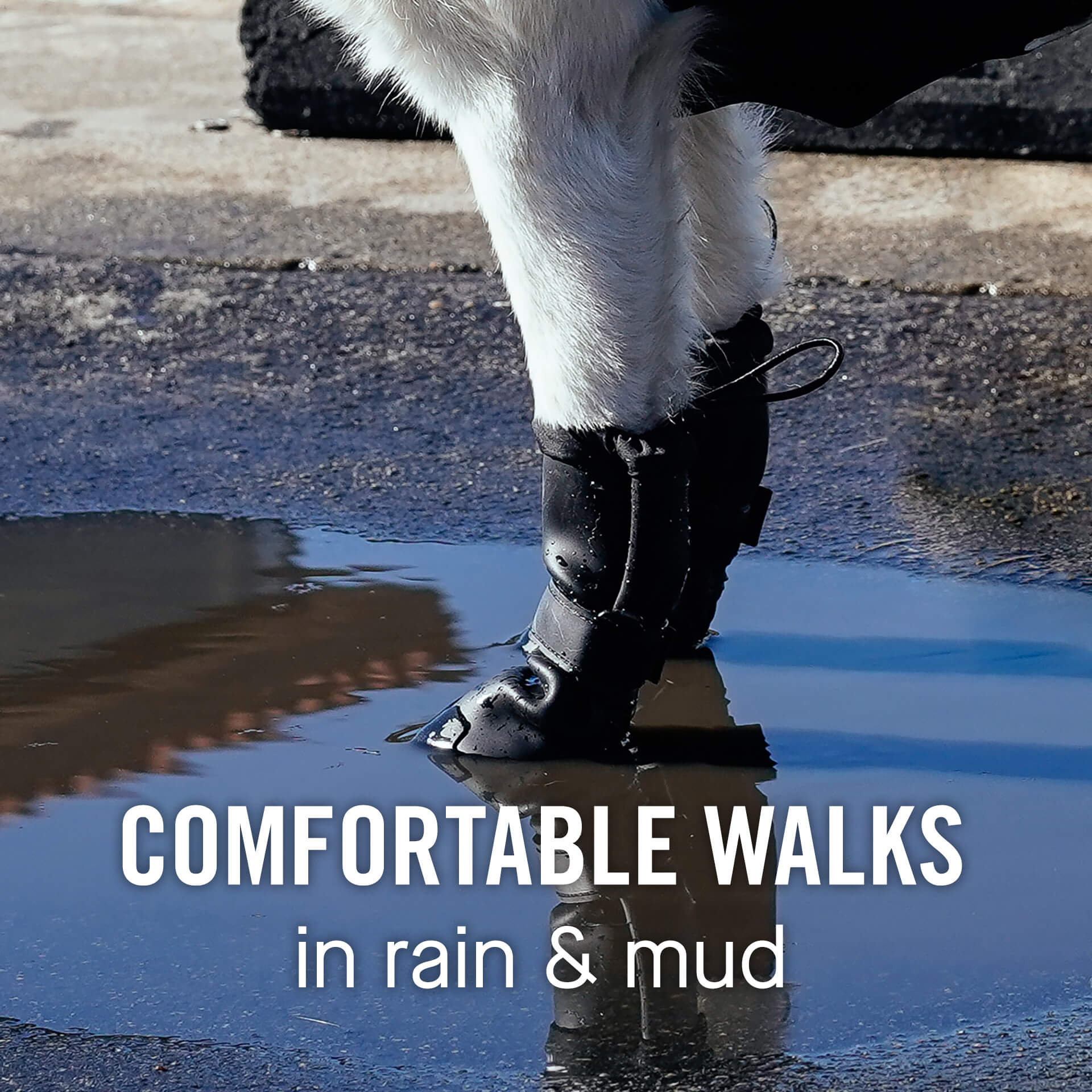 Waterproof Rain Boots - 2LGR