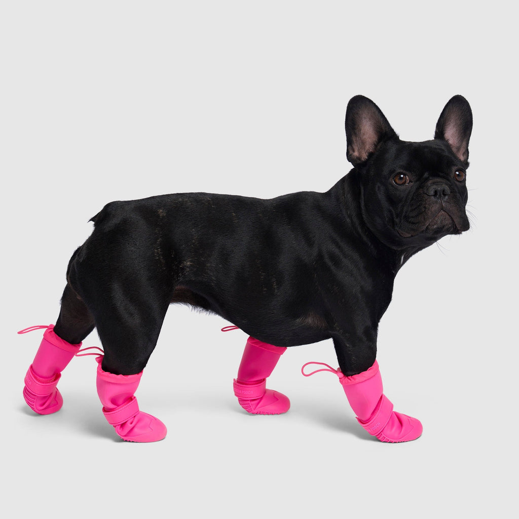 Waterproof Rain Boots - 2LGR