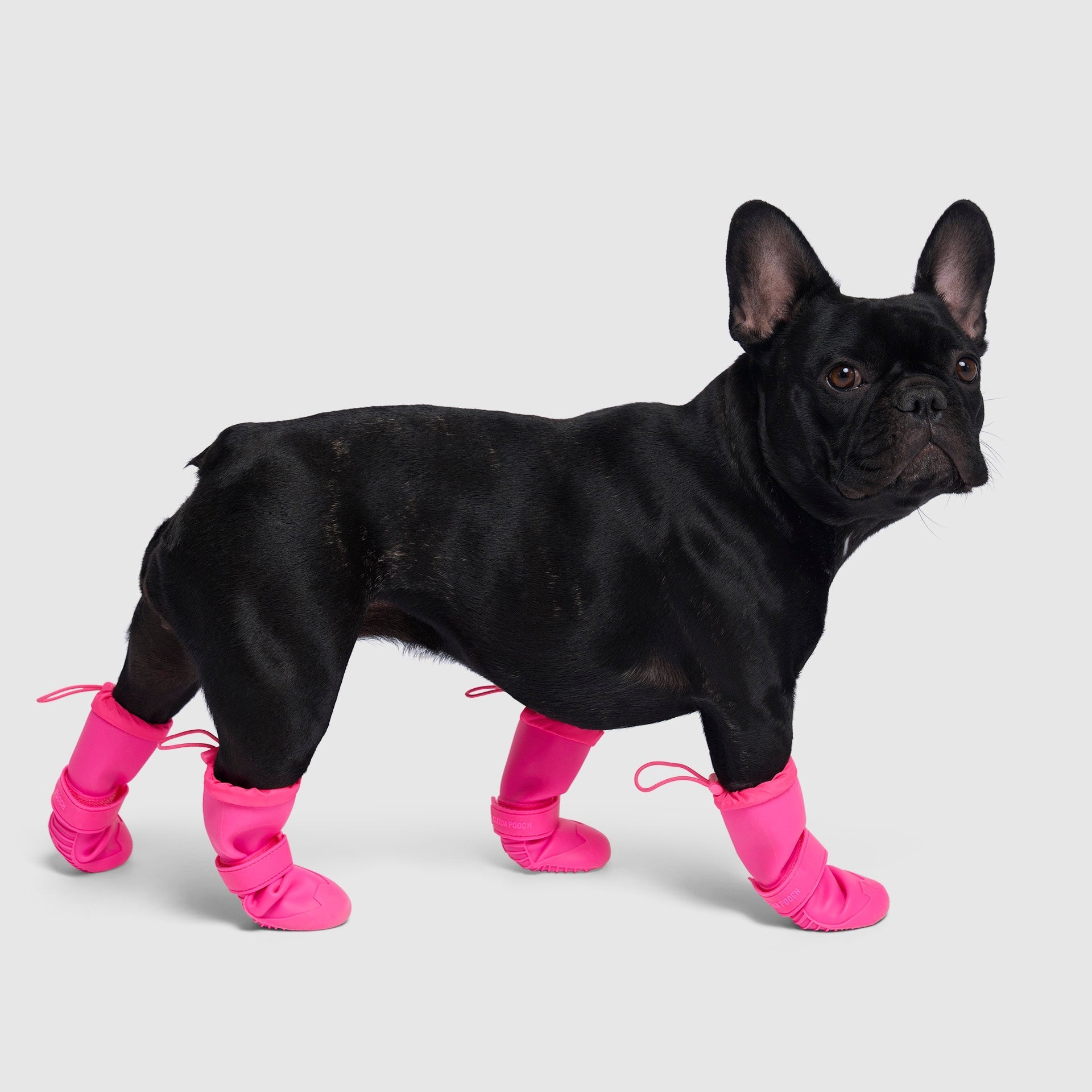 Waterproof Rain Boots - 2LGR