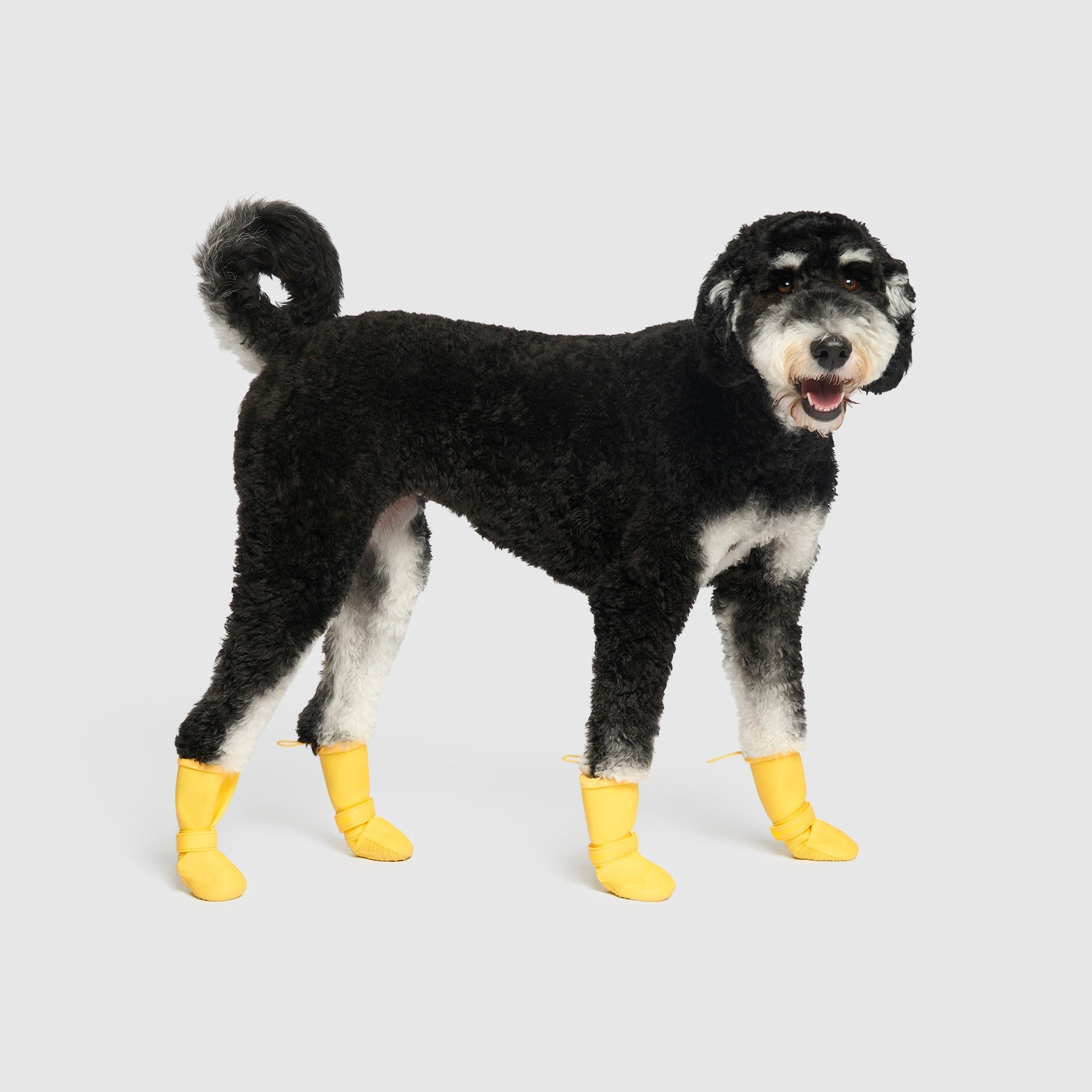 Waterproof Rain Boots - 2LGR