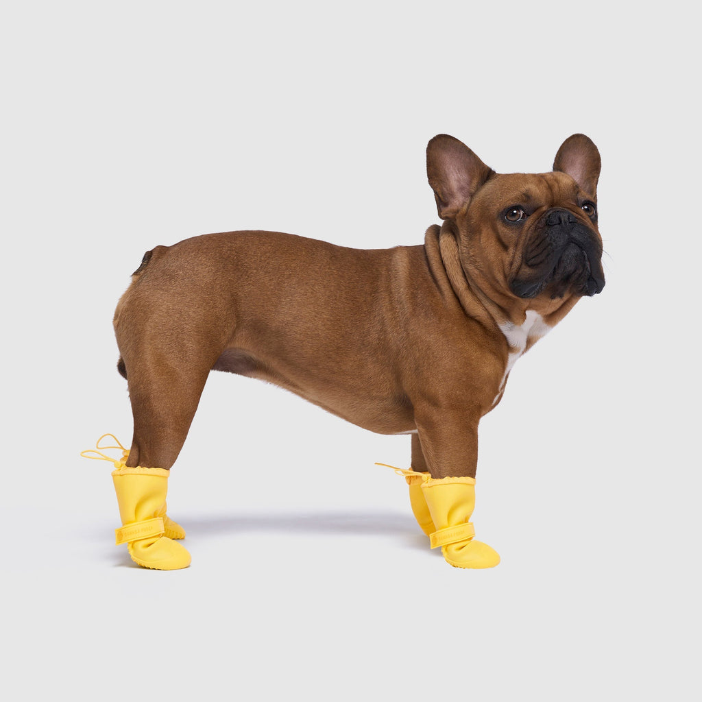 Waterproof Rain Boots - 2LGR