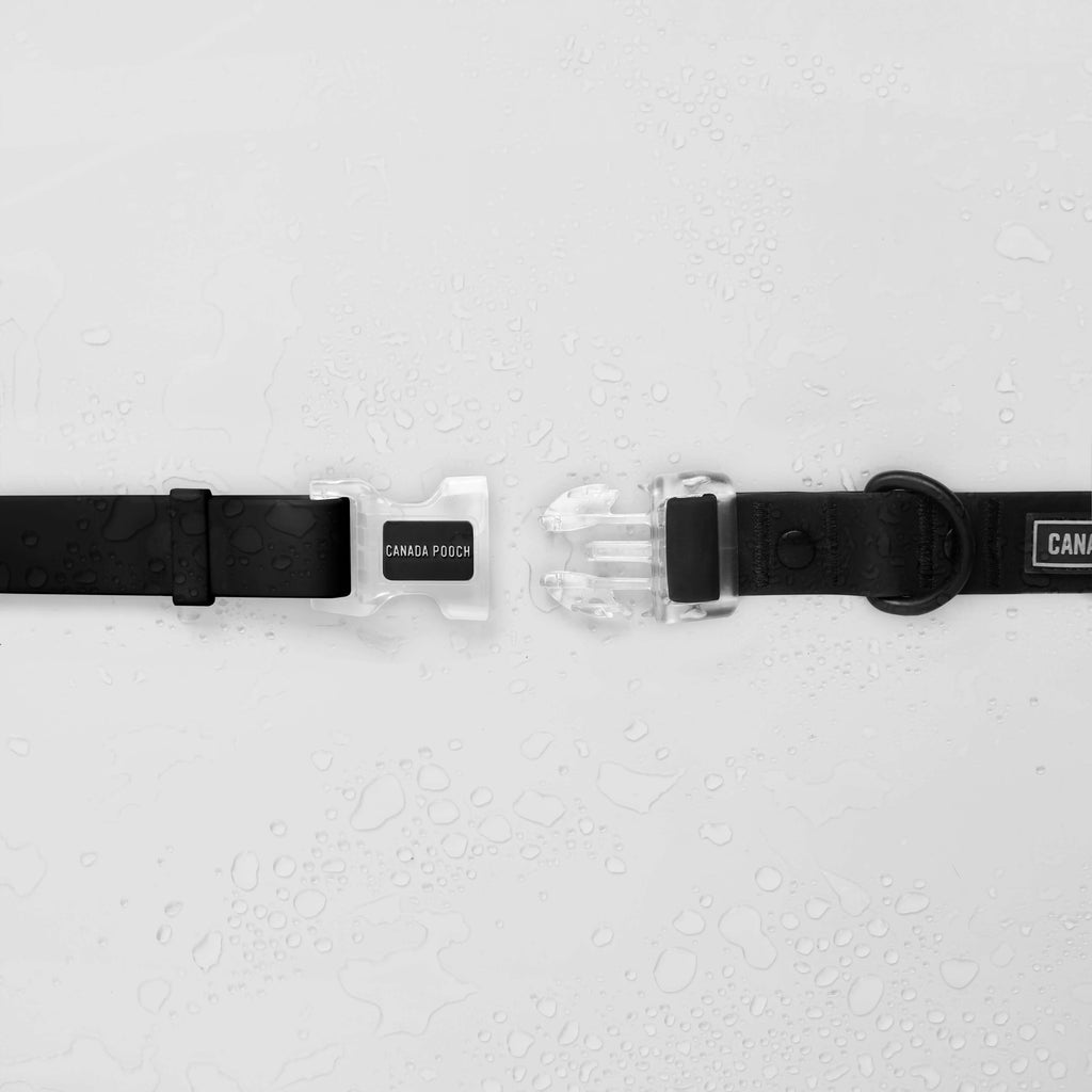 Waterproof Collar - 074P