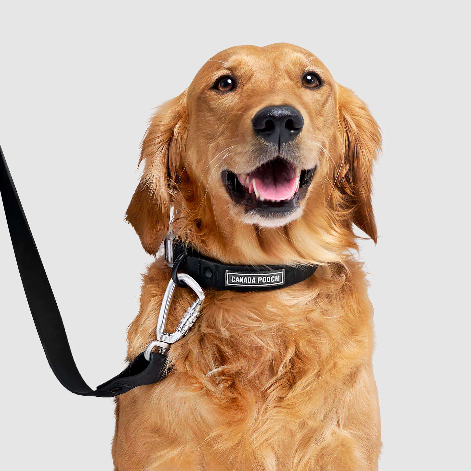 Waterproof Collar - 074P