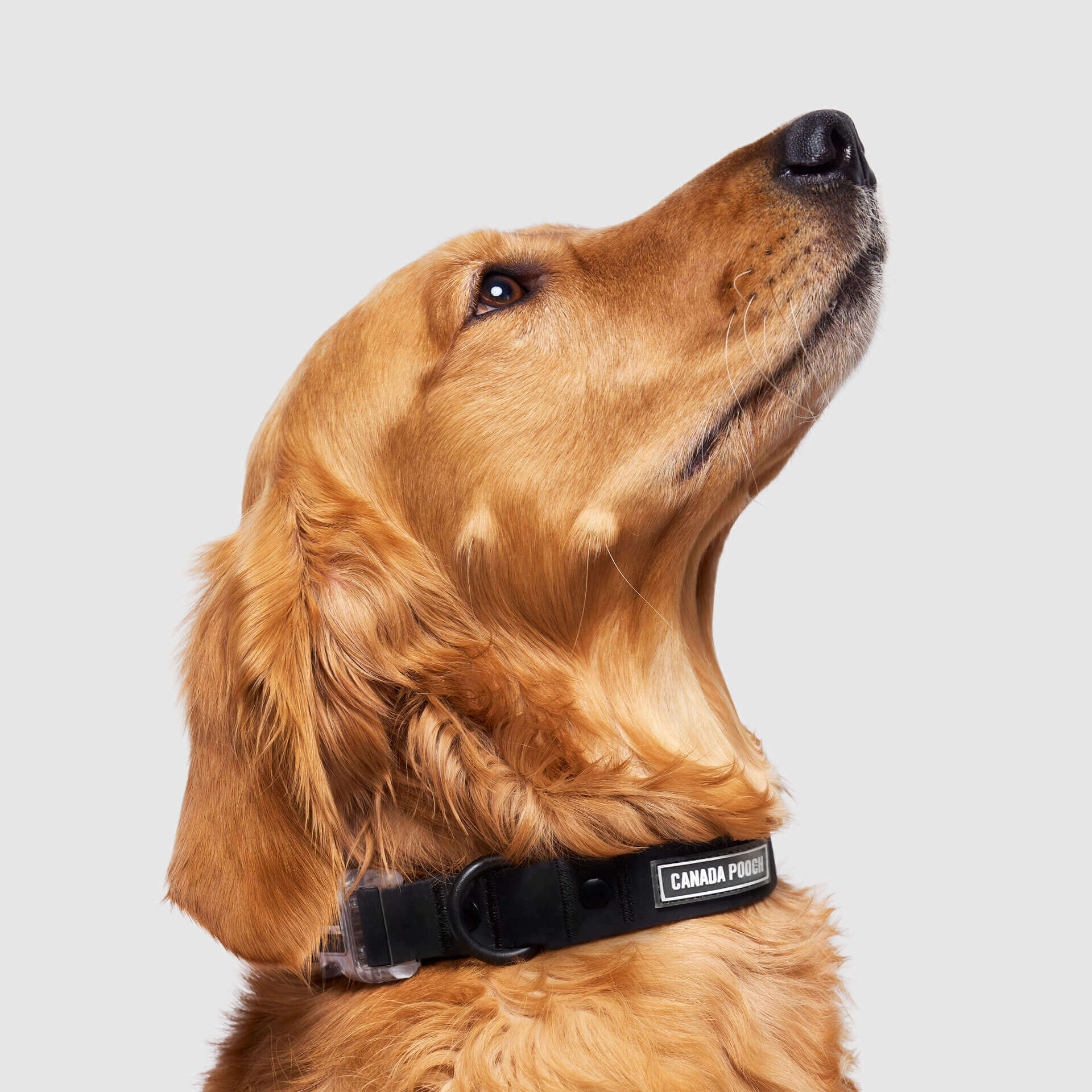 Waterproof Collar - 074P