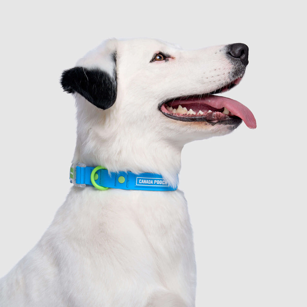 Waterproof Collar - 074P