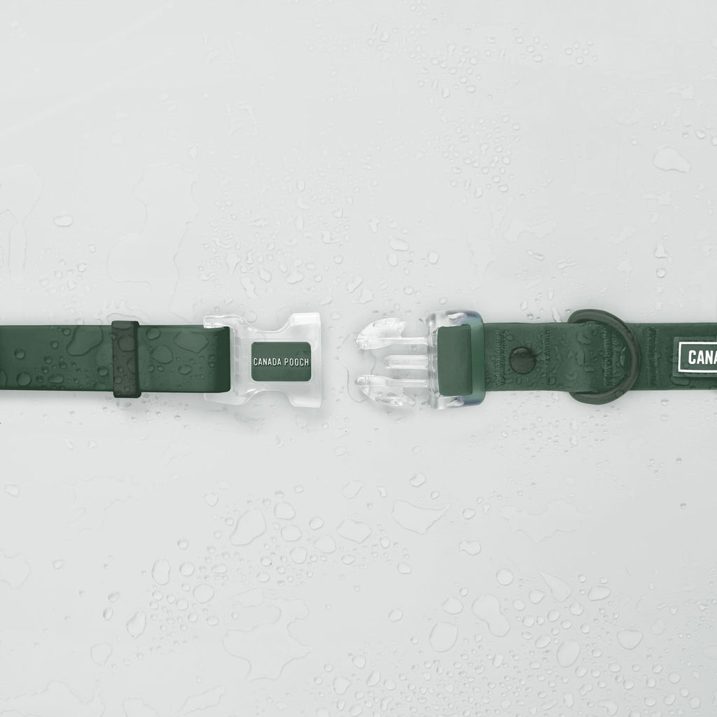 Waterproof Collar - 074P