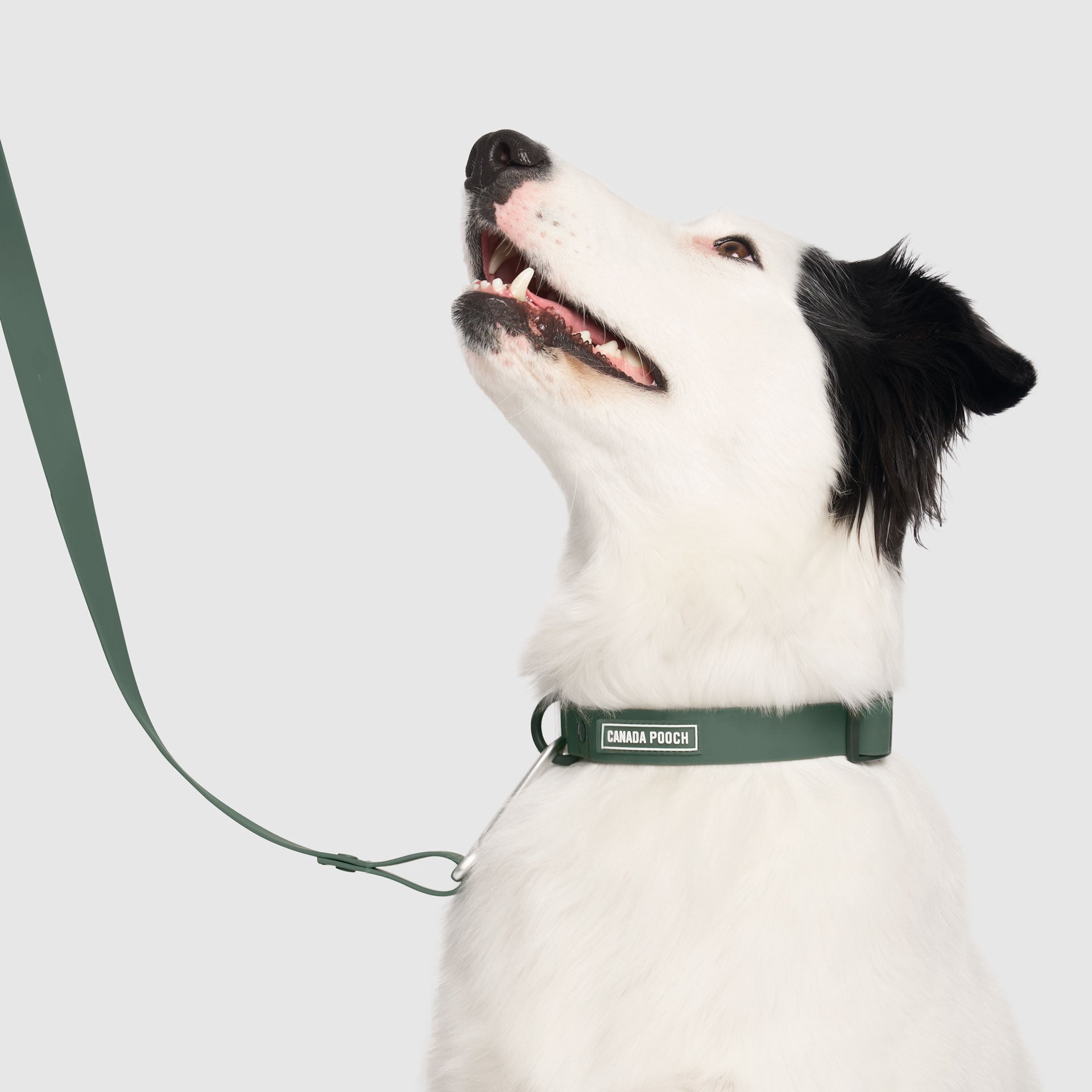 Waterproof Collar - 074P