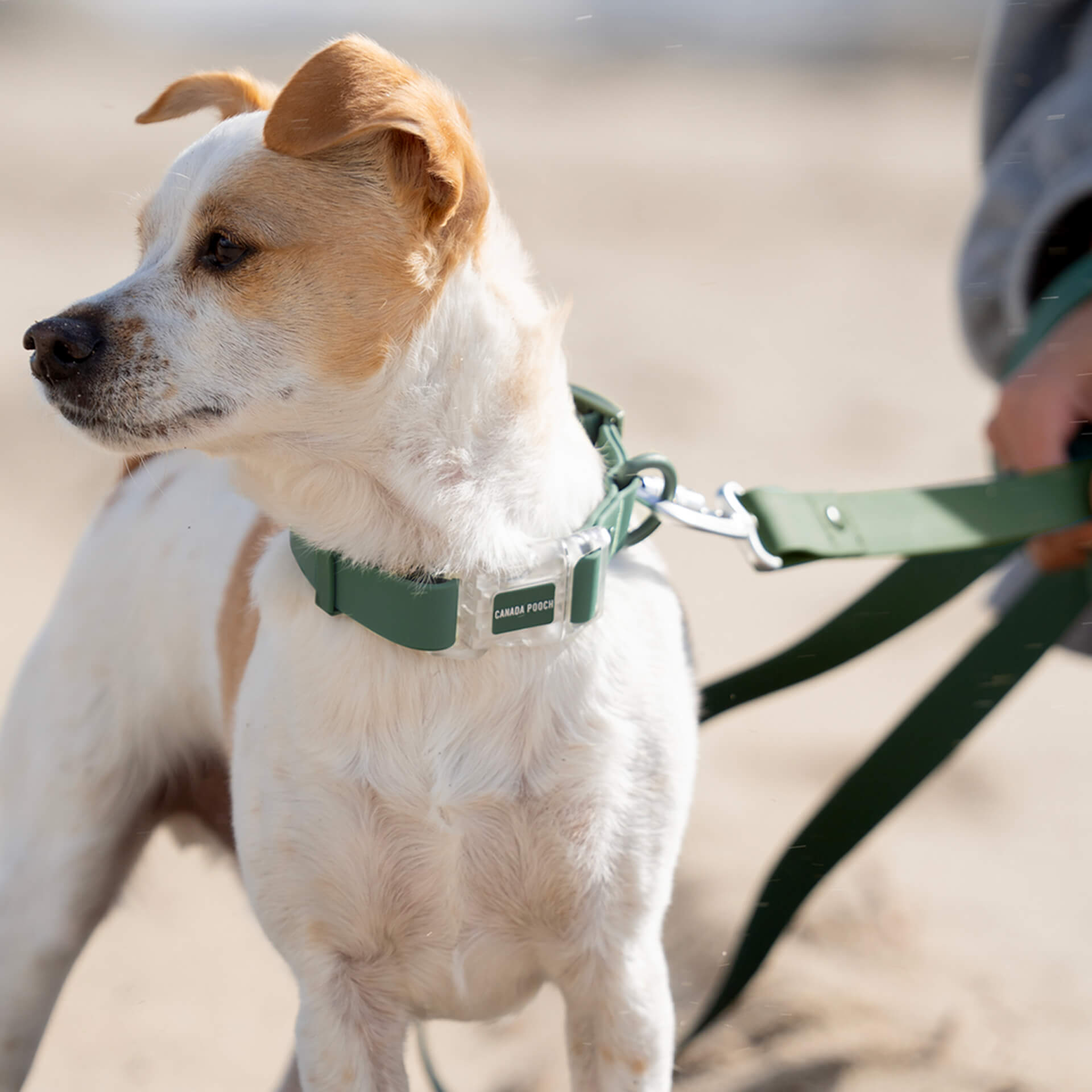 Waterproof Collar - 074P