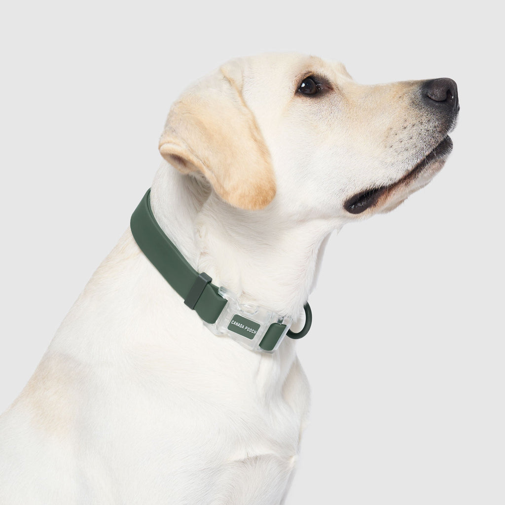 Waterproof Collar - 074P
